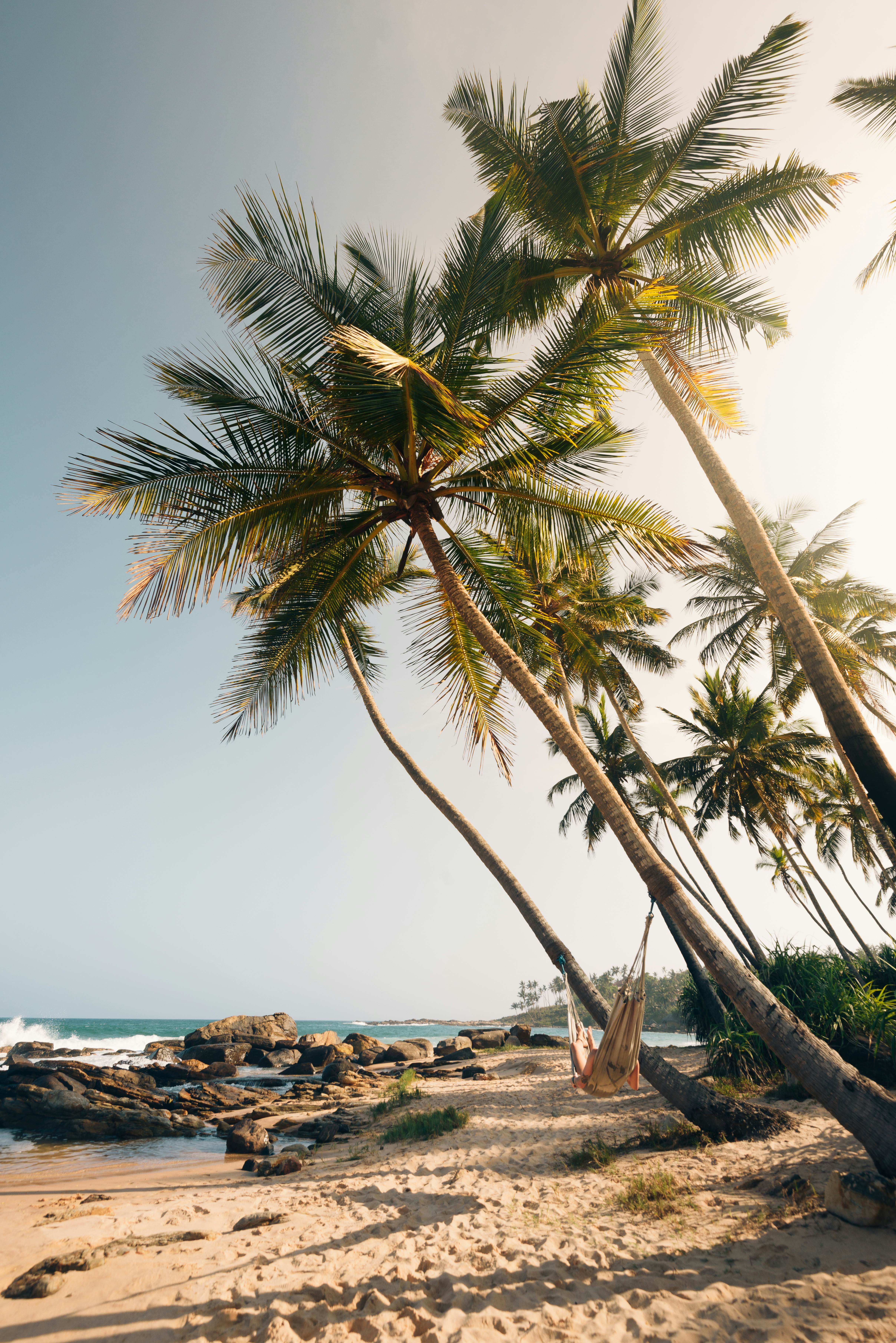 A beach hammock hangs between palm trees at a private beach in Sri Lanka.