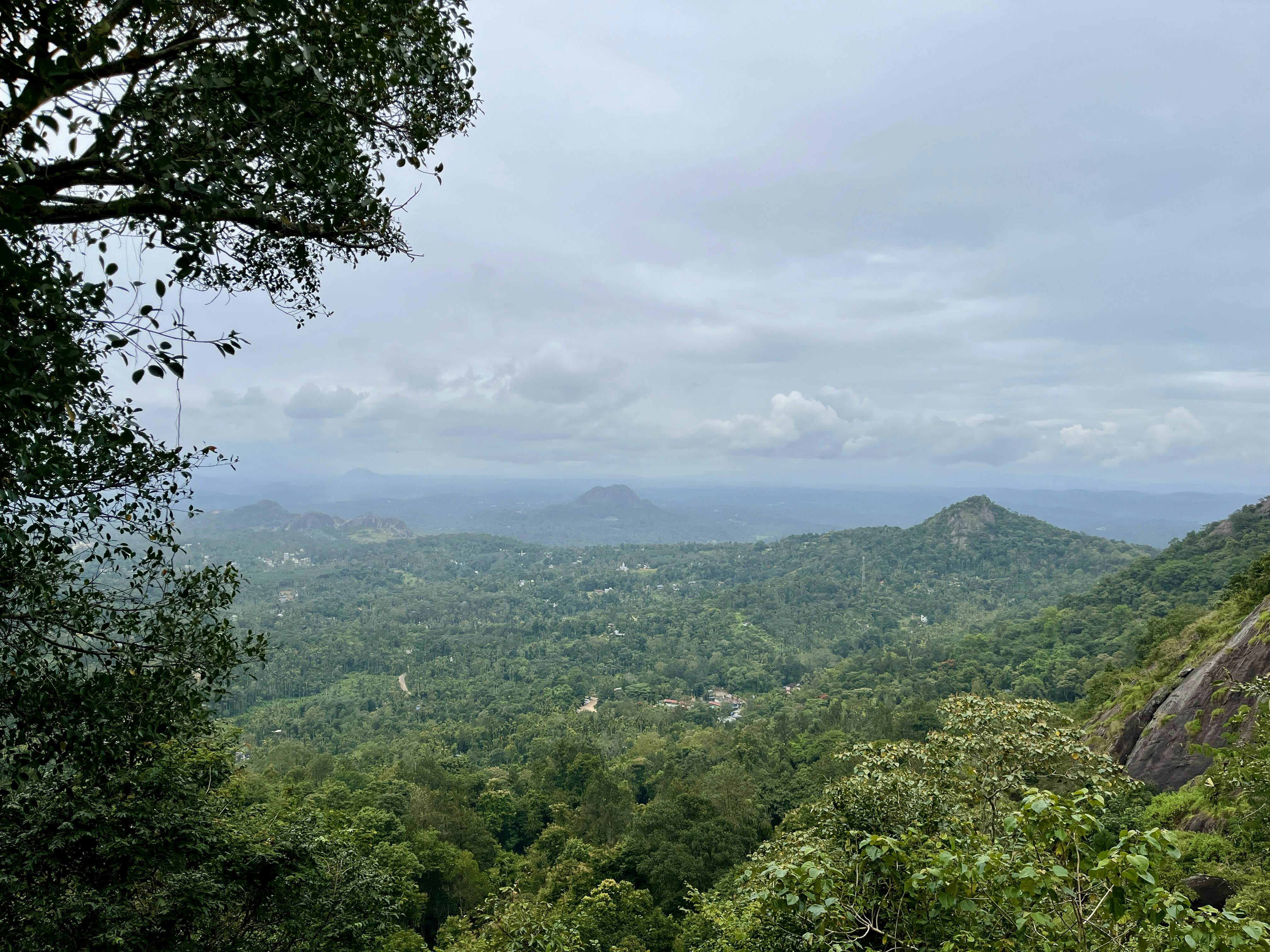 The view from Ambukutty Mala (Edakkal Caves)