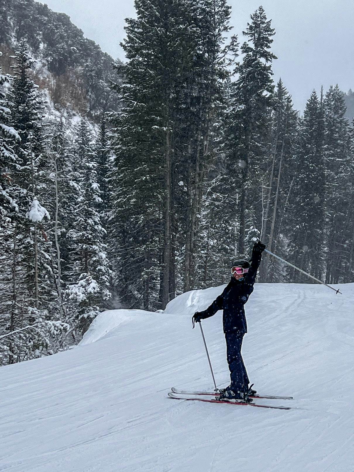 A skier with poles on the mountain. 