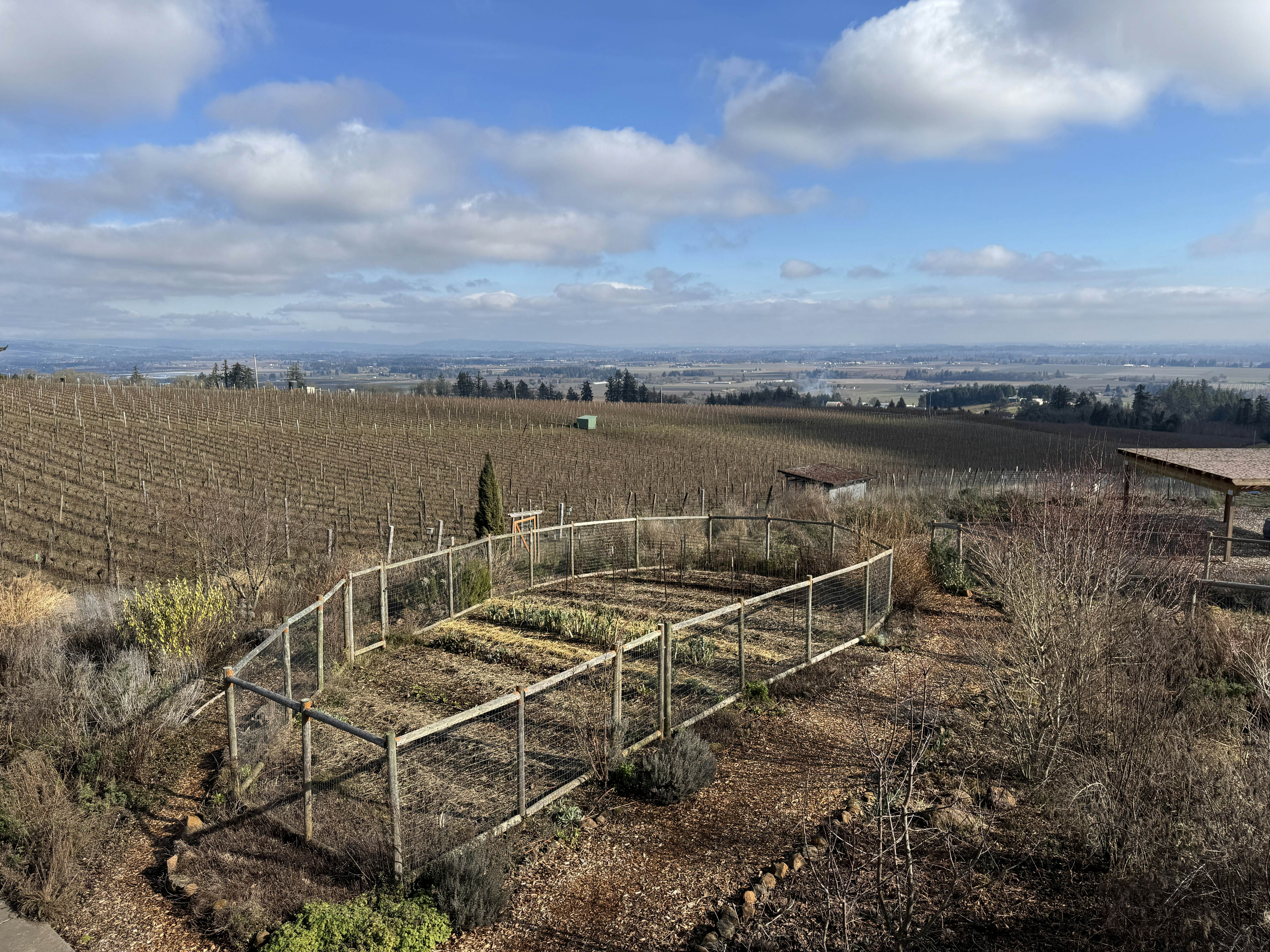 Willamette Valley's Brooks Wine in Amity, Oregon