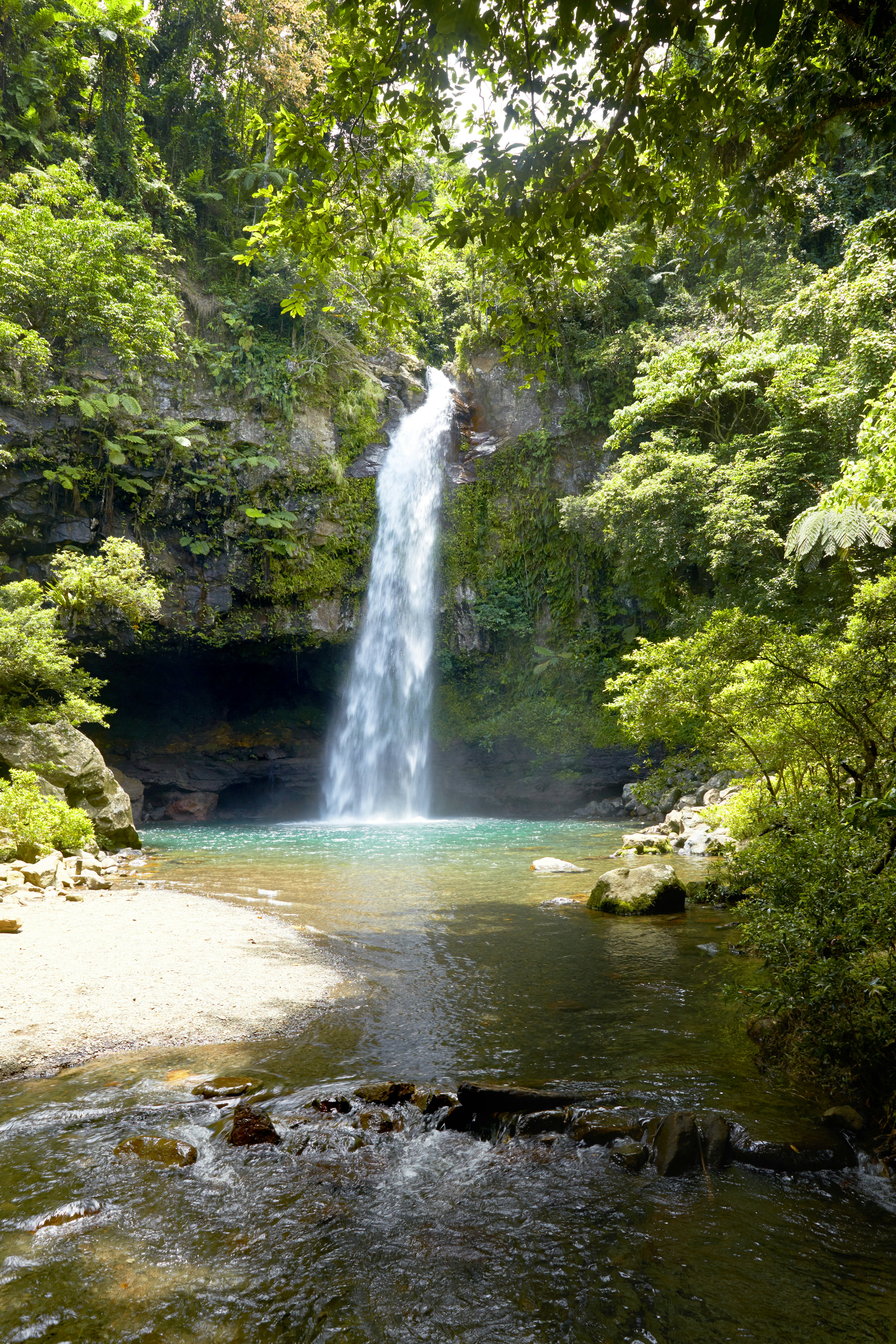 A tall waterfall plunging into a pool in jungle.