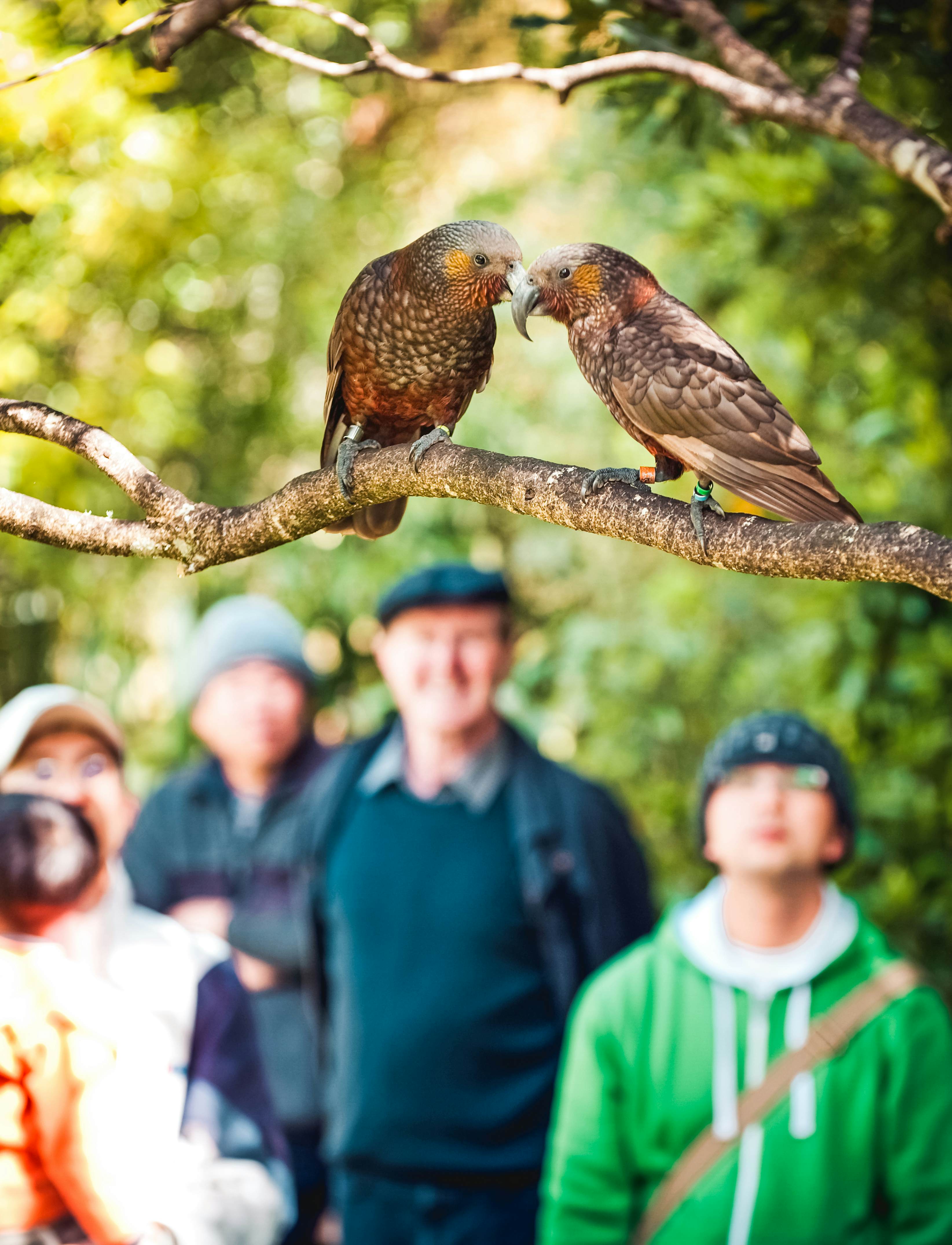 Mike Heydon shoots things.www.jetphotography.co.nz.mike@jetphotography.co.nz.Ph 021 492 419
Courtesy of Destination Wairarapa to update POI images