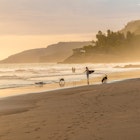 El Zonte, El Salvador. February 2018. A view of a surfer on the beach in El Zonte in El Salvador. License Type: media Download Time: 2024-01-10T21:16:37.000Z User: bhealy950 Is Editorial: Yes purchase_order: