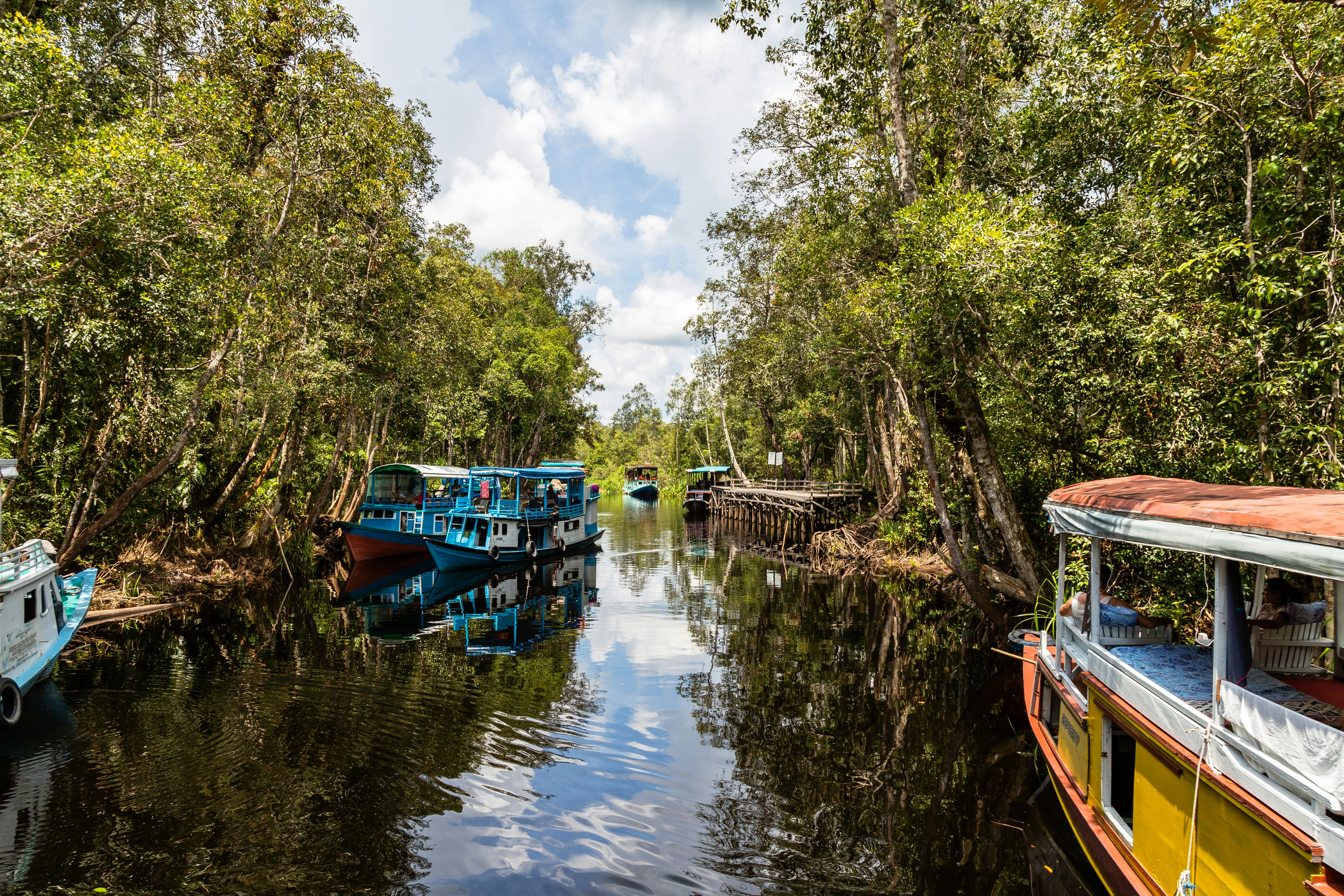 Blue and yellow boats docked on river banks