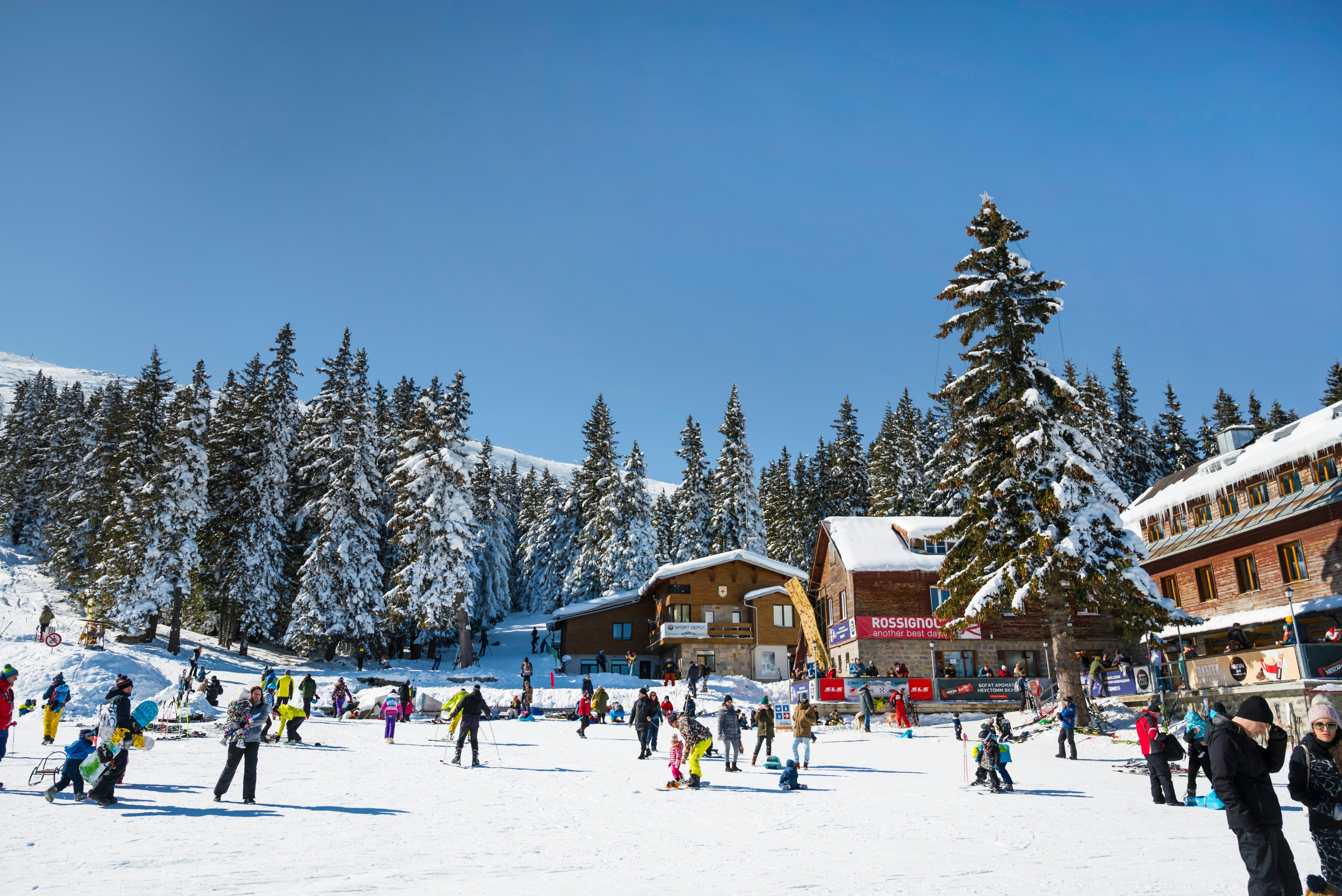 Many skiers outside wooden buildings in a ski area in Bulgaria; the ground and evergreen trees are covered with snow.