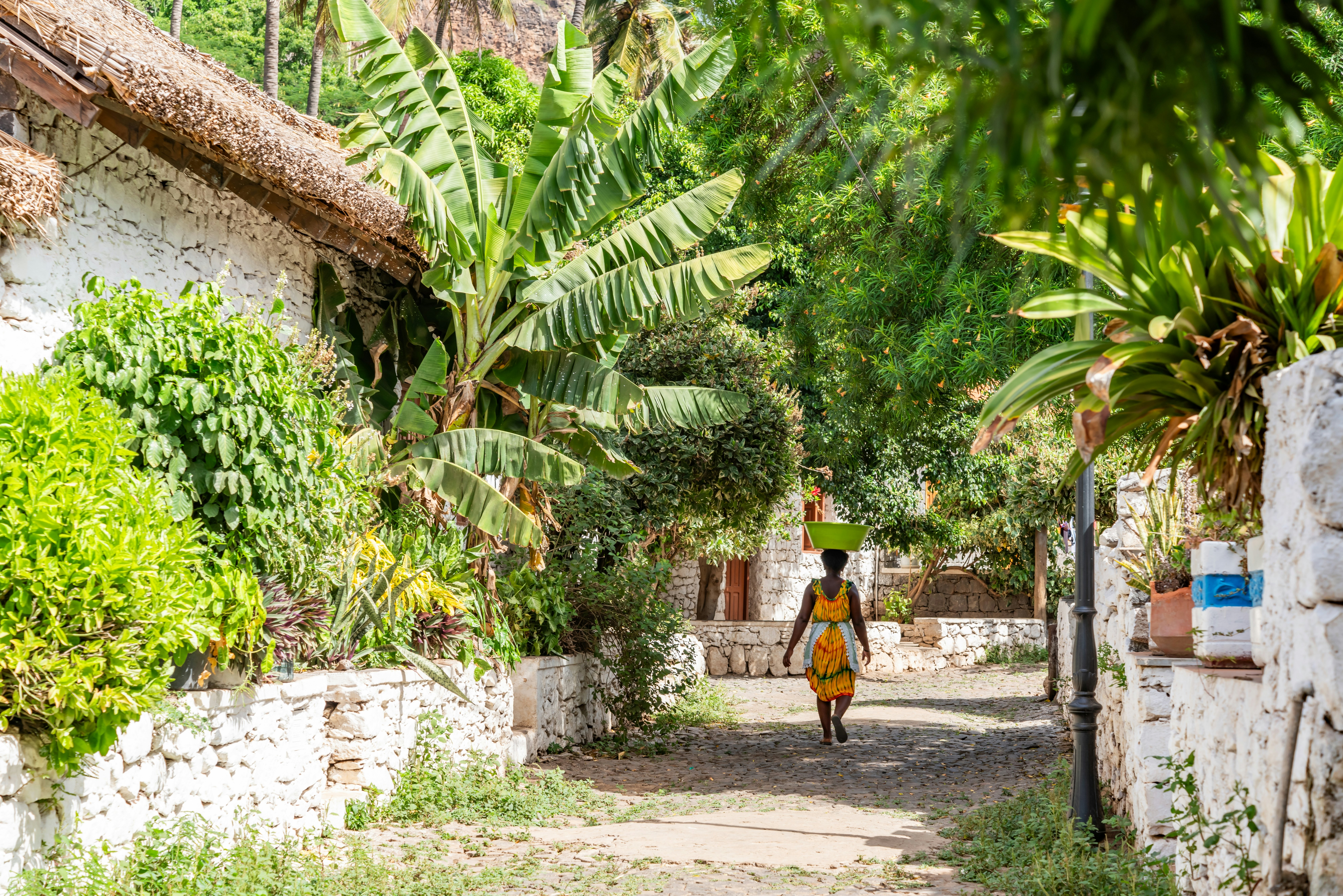 A woman balancing a water receptacle on her head walks down a street in a city shaded by palm trees.