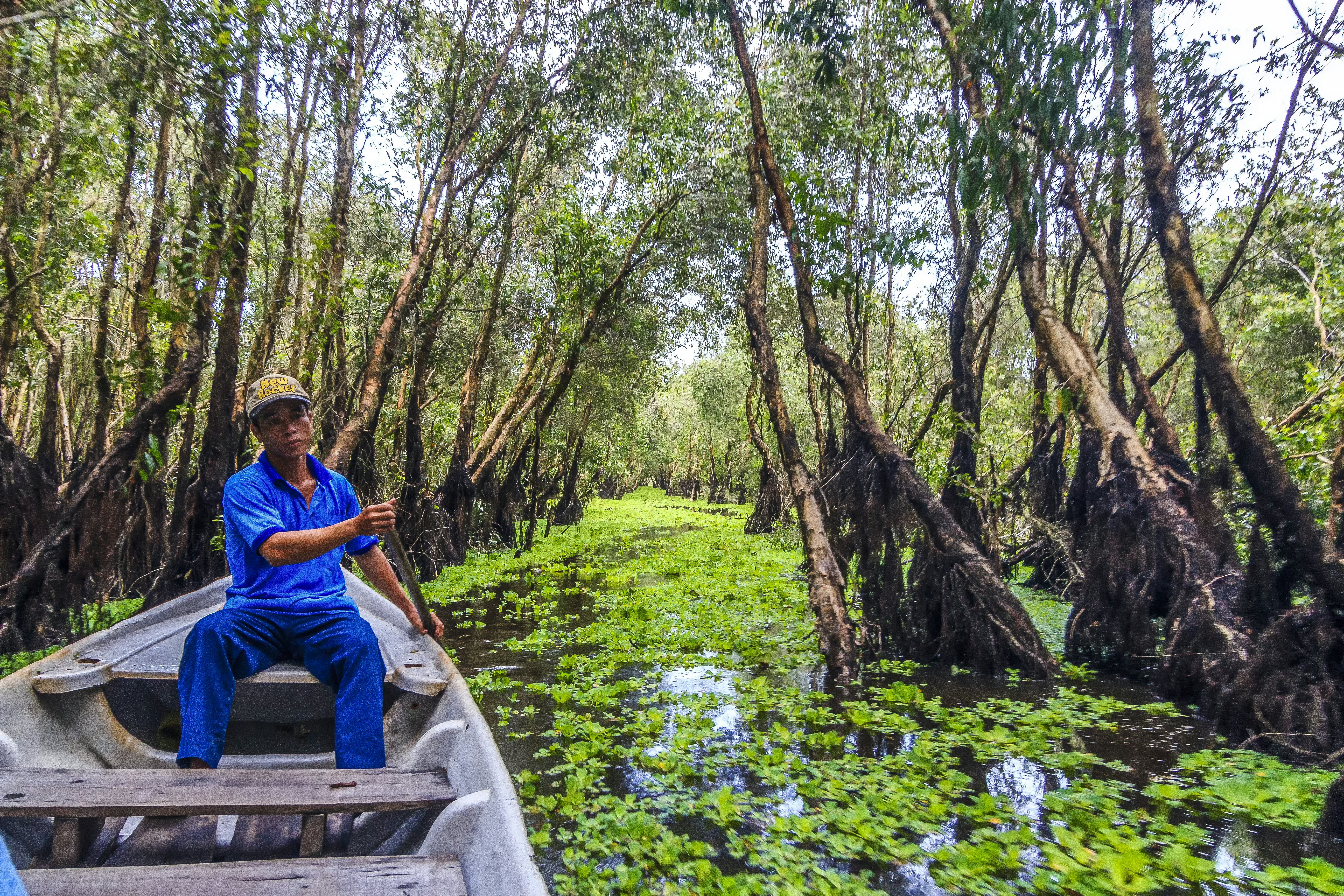 A man pushes a wooden boat along in a river surrounded by trees.