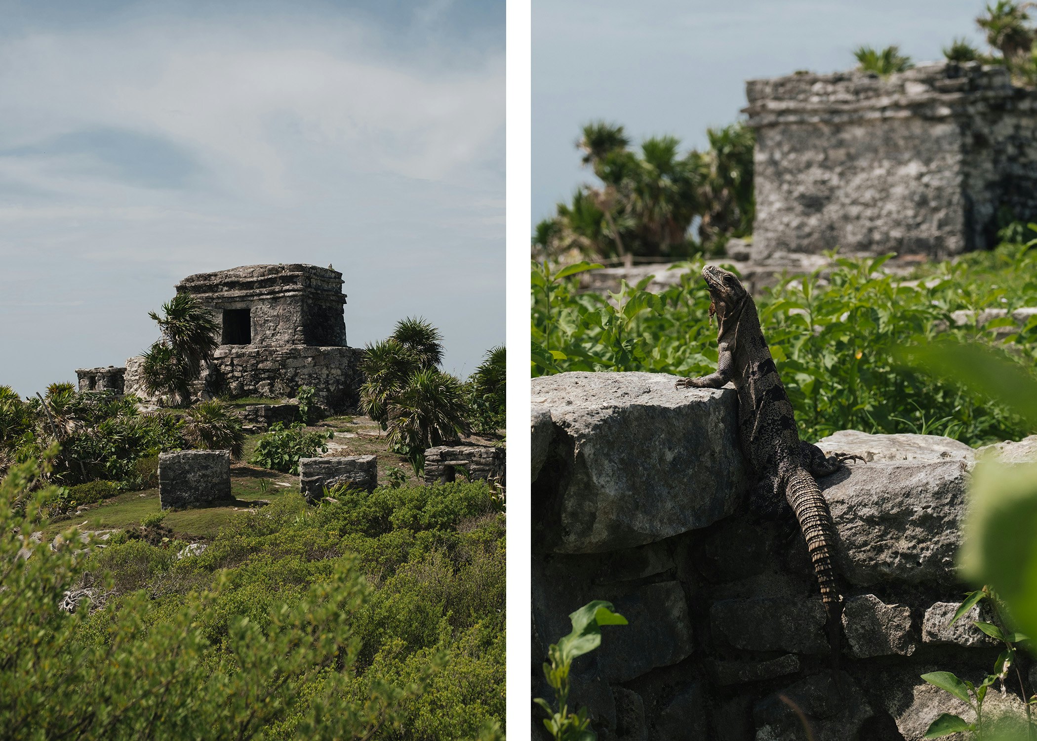 Left, a stone structure on a hill; right, an iguana perched on a rock