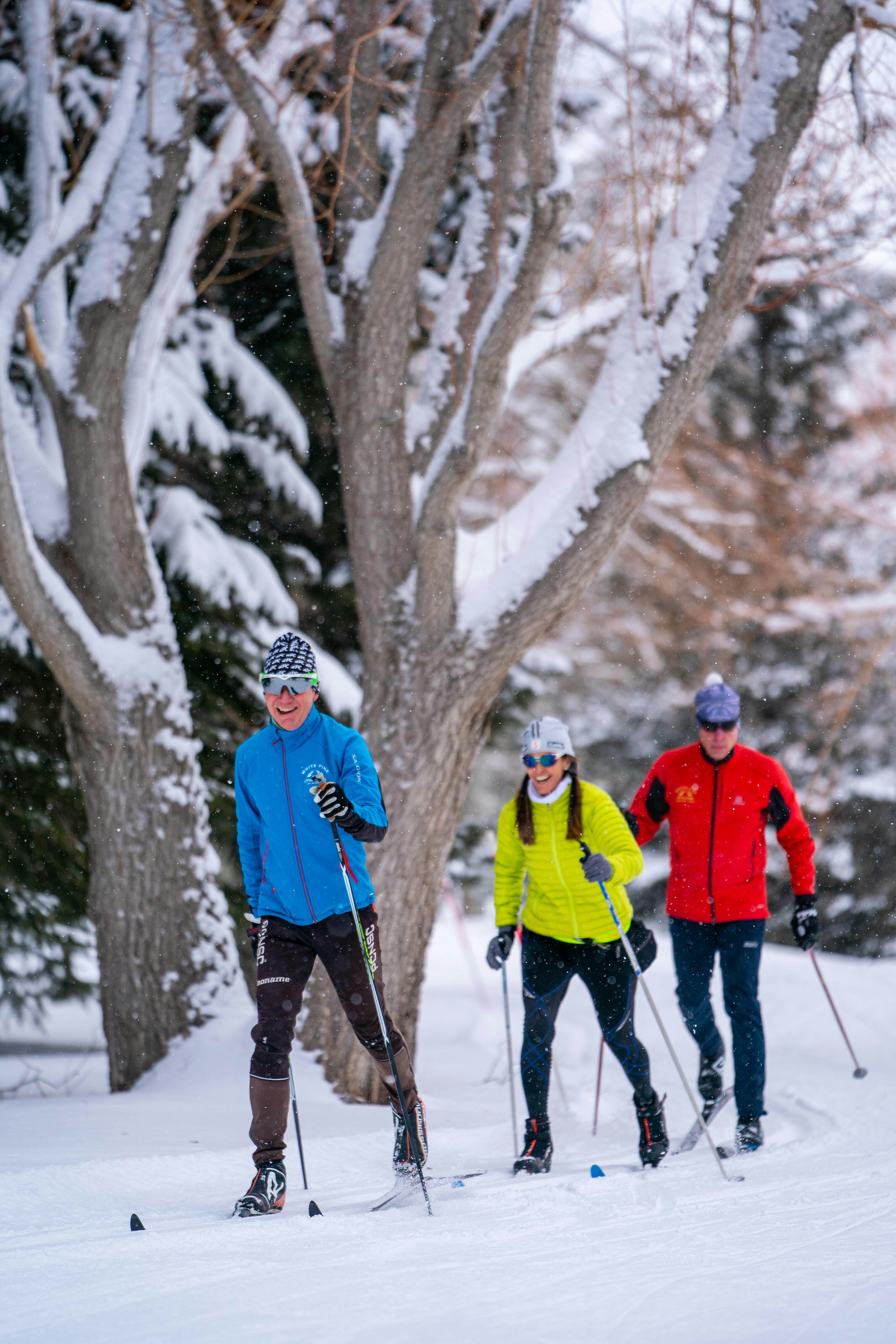 Three people cross-country skiing on a trail in the woods.