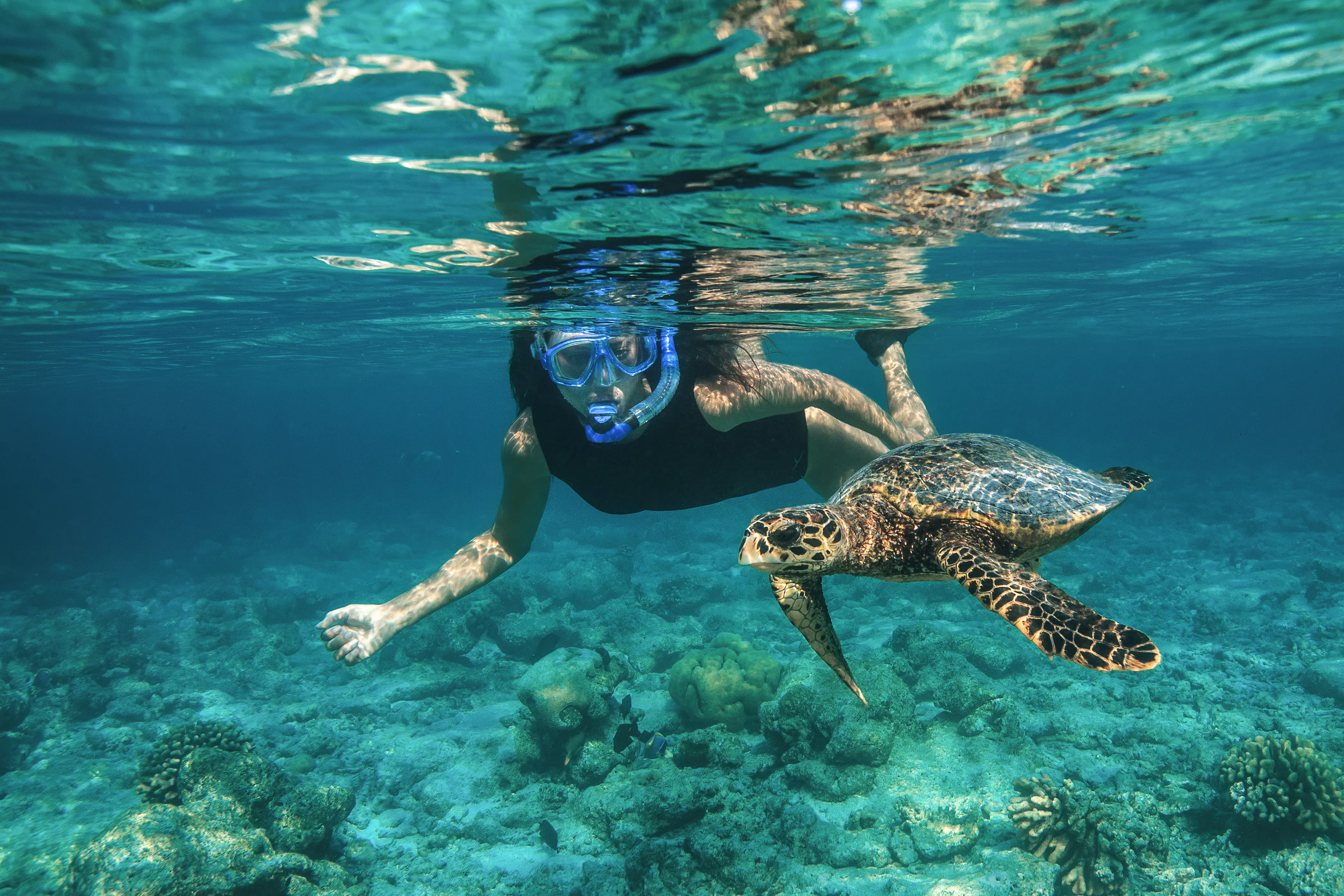 a-guide-to-snorkeling-and-diving-in-the-maldives-lonely-planet