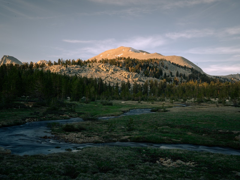 A creek weaves its way through a meadow at the foot of rolling hills covered in woodland.
