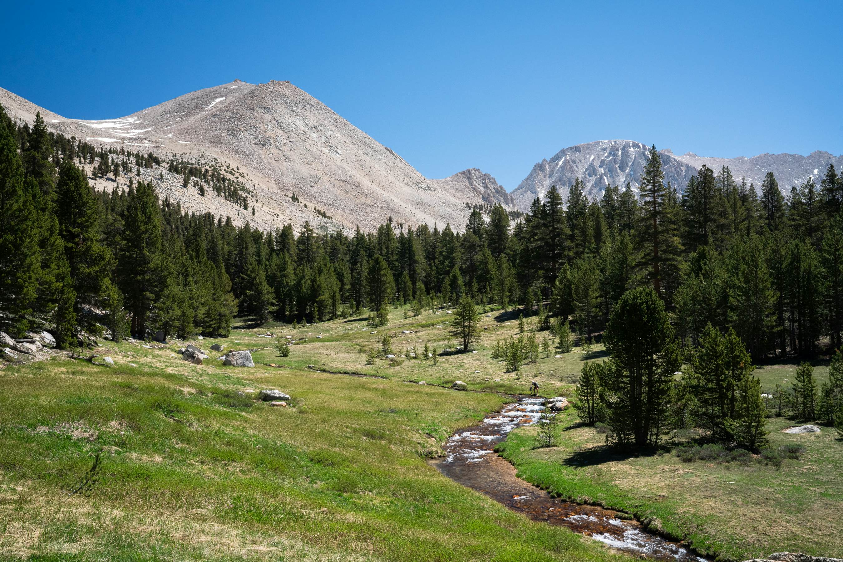 A green meadow surrounded by woodland among mountain peaks.