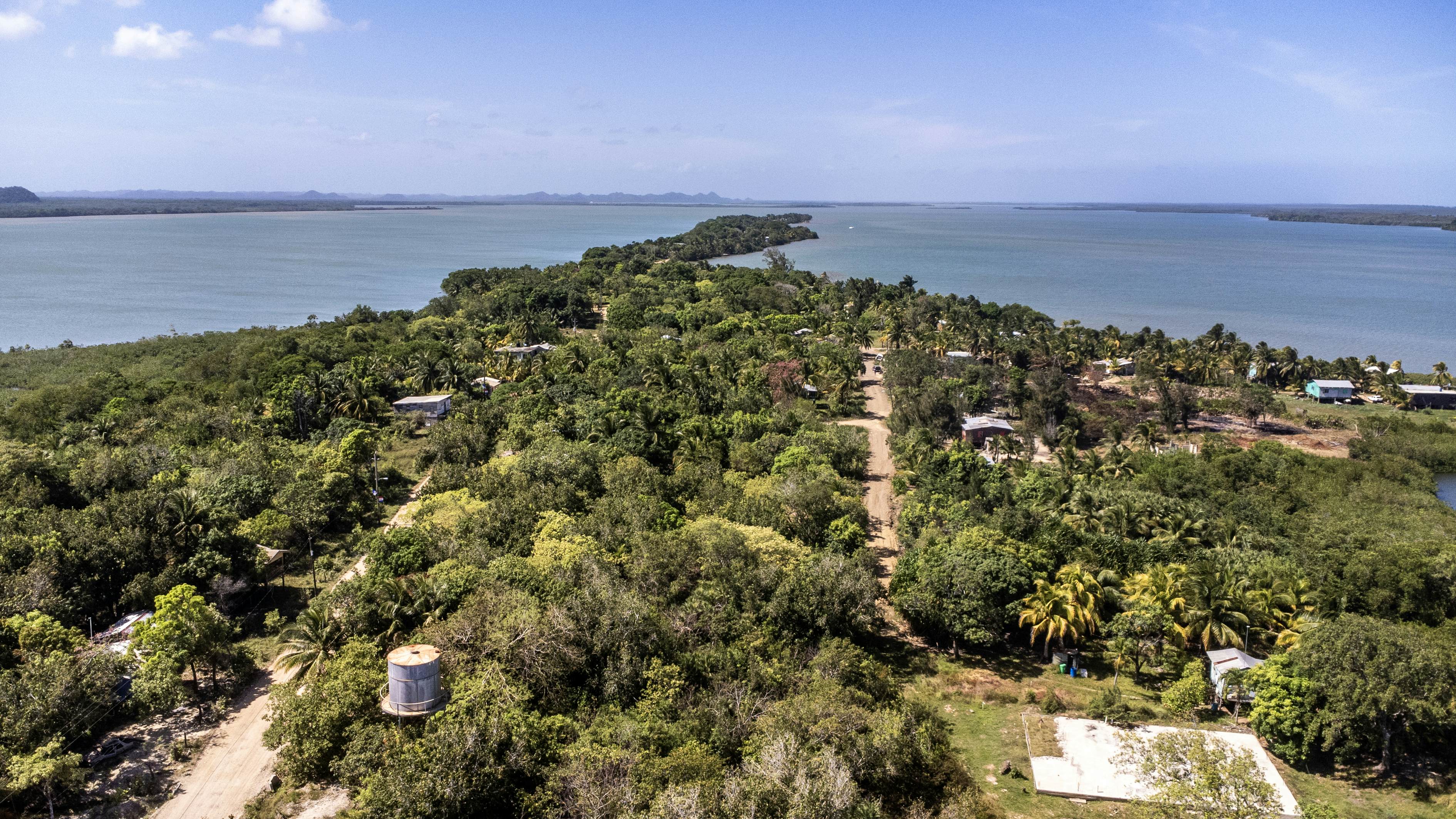 Aerial view of forested island with the sea beyond on a sunny day.
