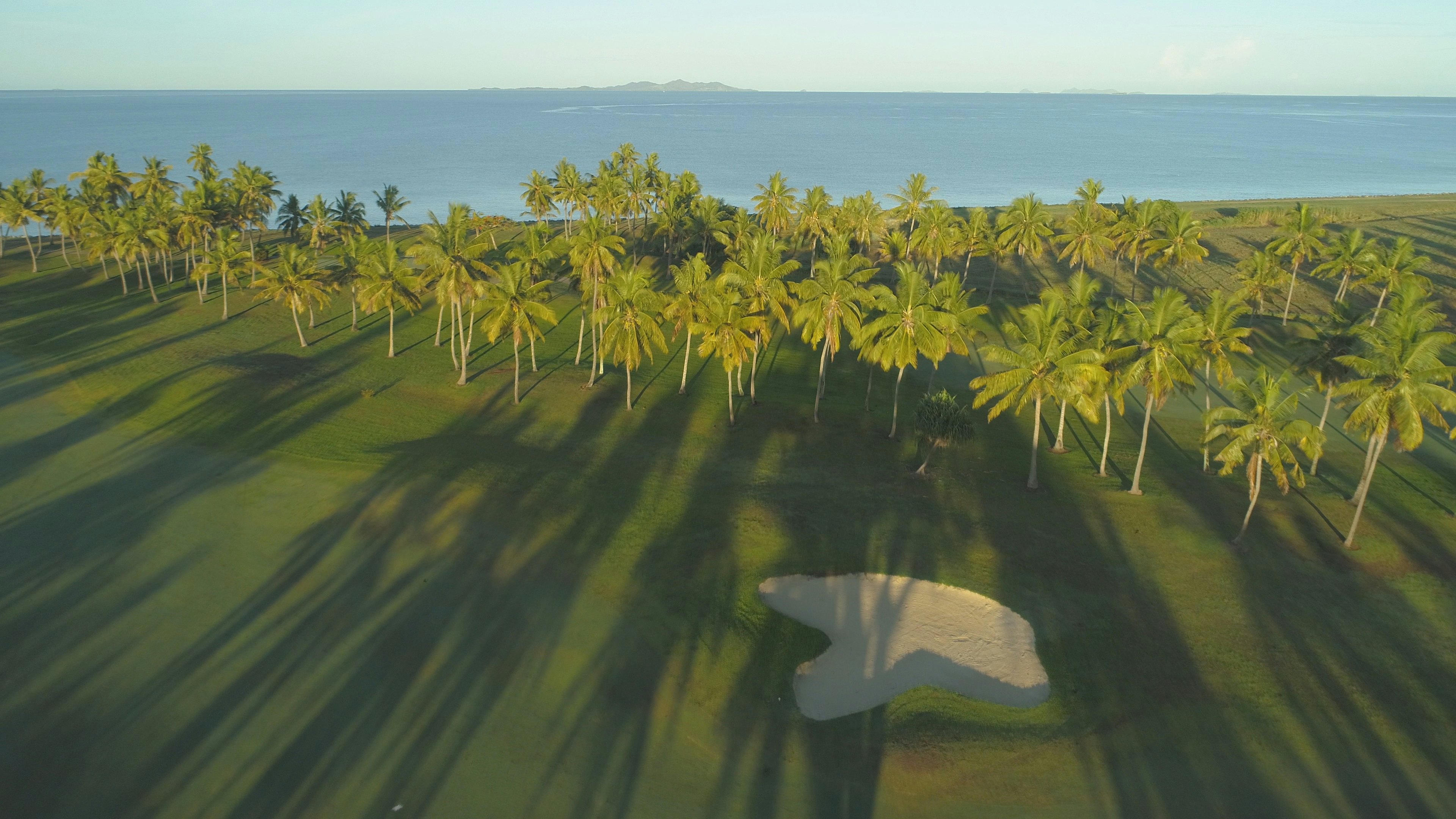 Long shadows of tall palm trees are cast across a coastal golfing fairway with a large sand bunker.
