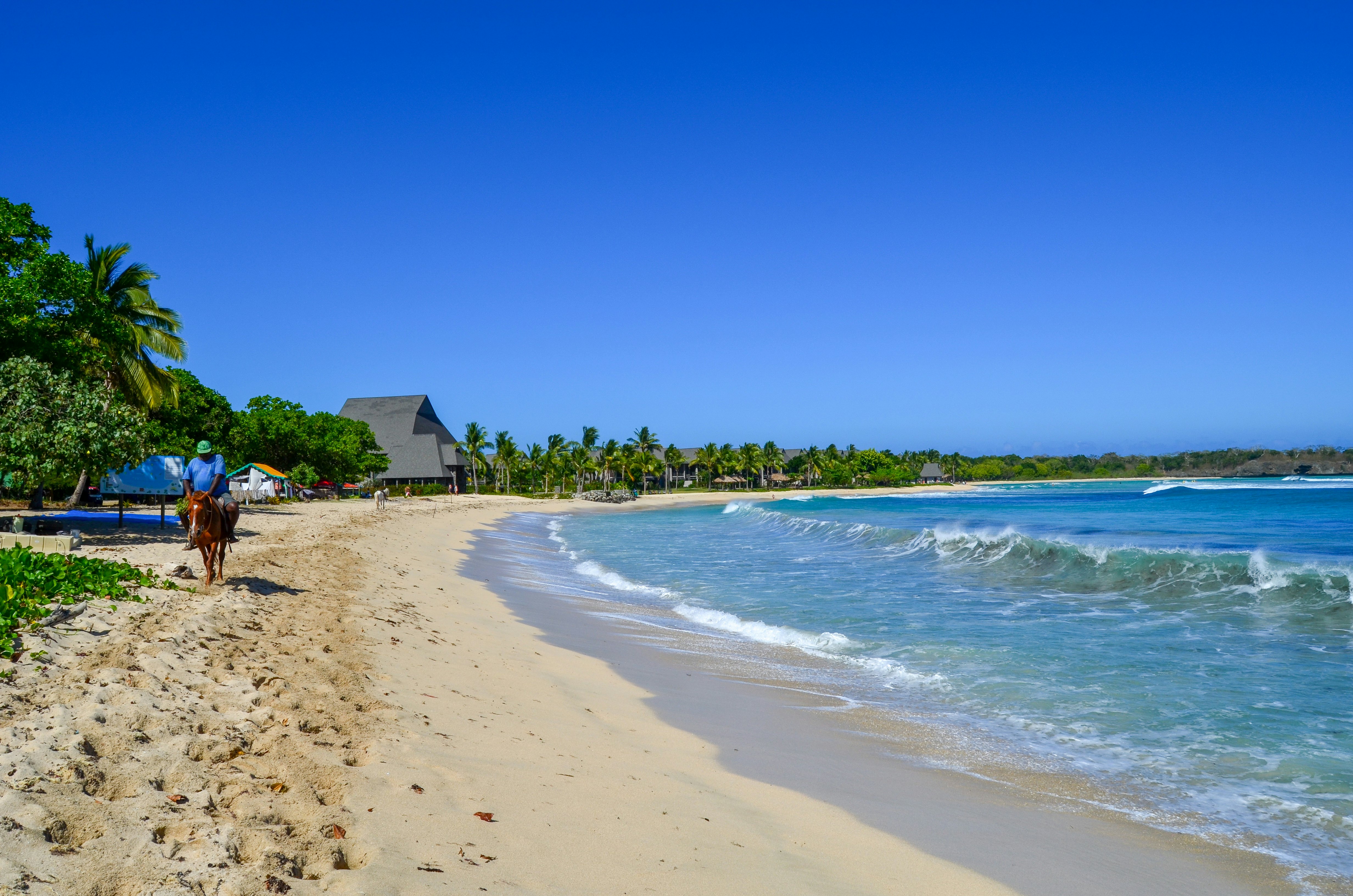 A man rides a horse down a beach with palm trees in the background