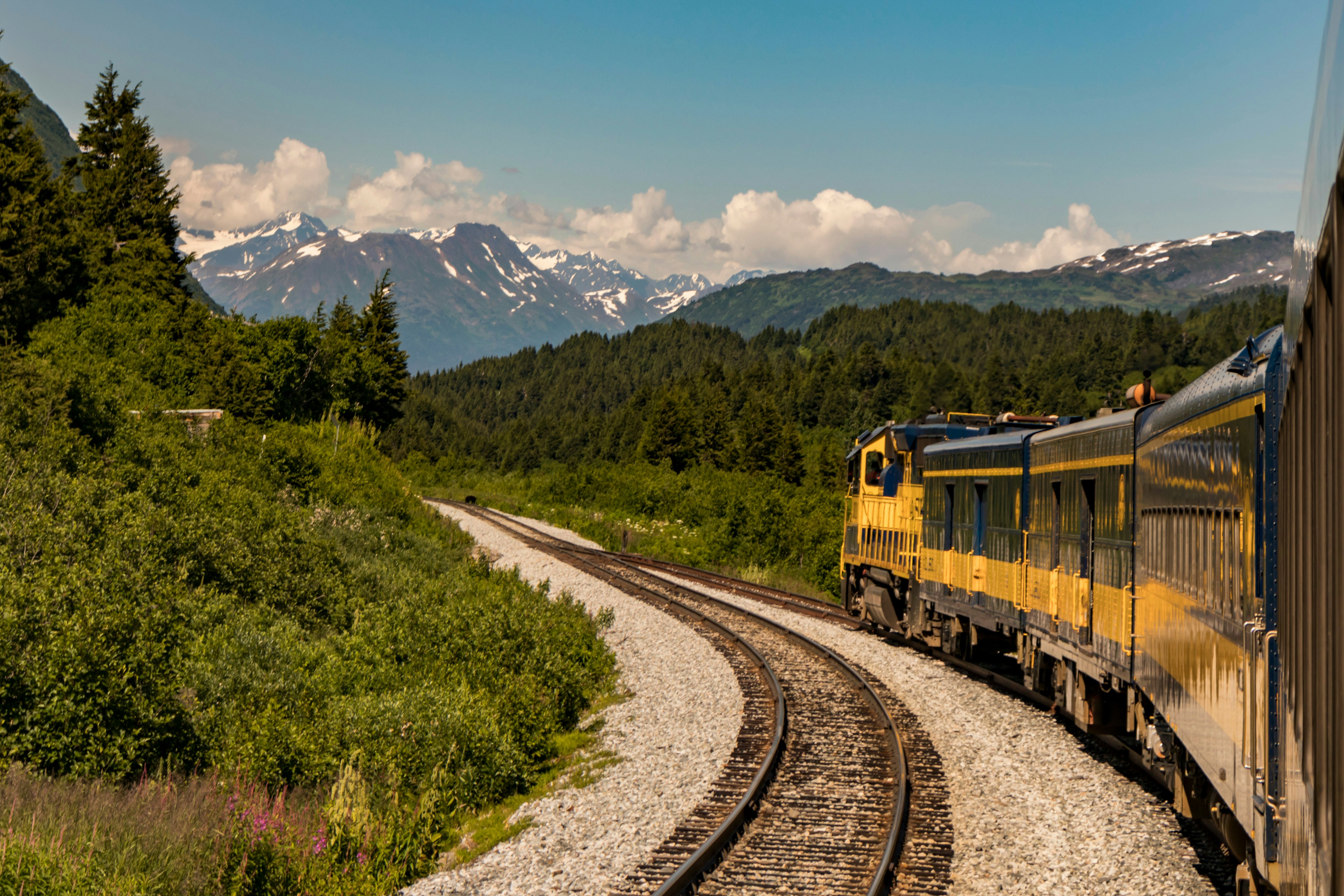 A train follows tracks in a mountainous landscape. Up ahead a bear is crossing the tracks.