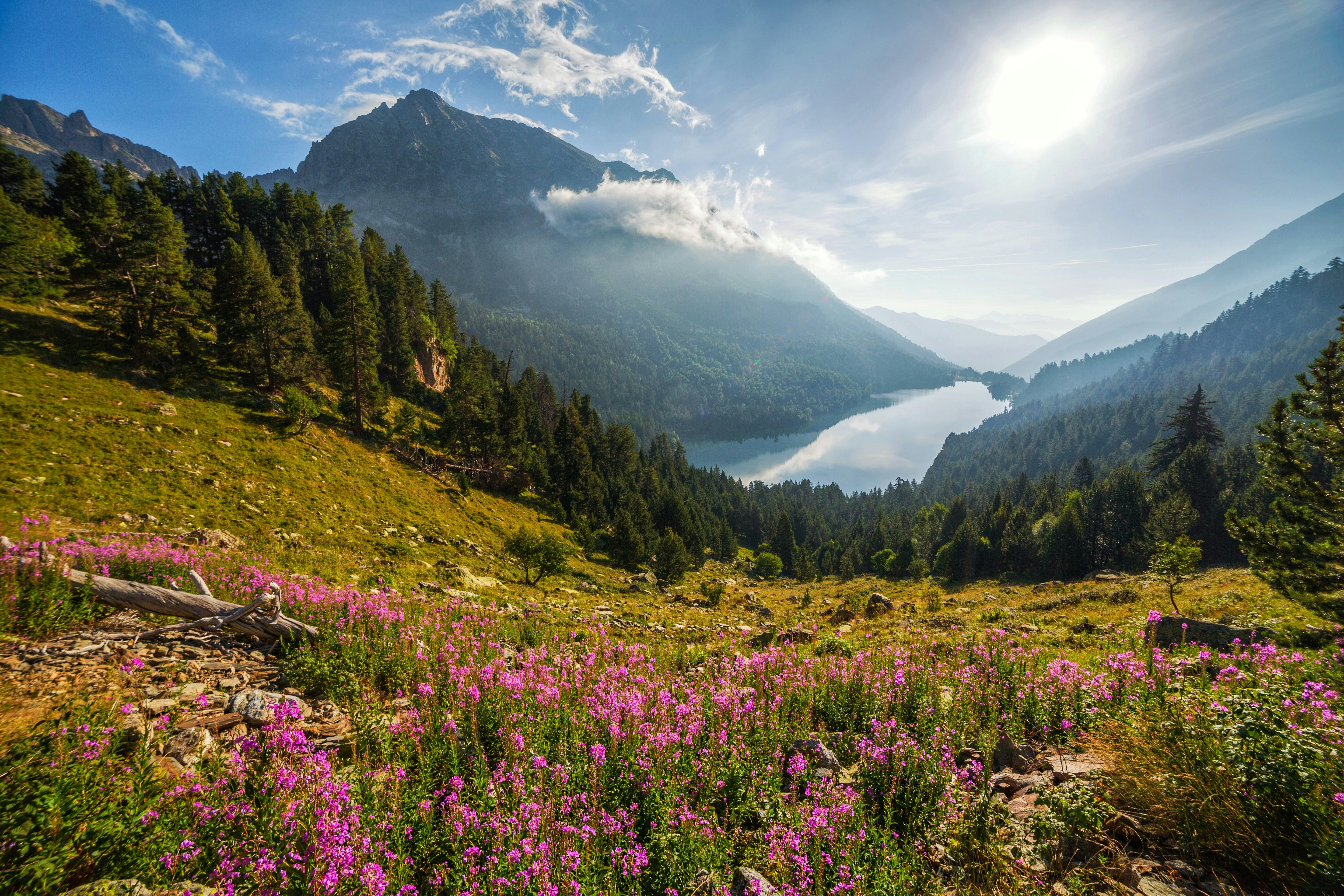 A high alpine lake in Parc Nacional d’Aigüestortes i Estany de Sant Maurici with wildflowers in the foreground.