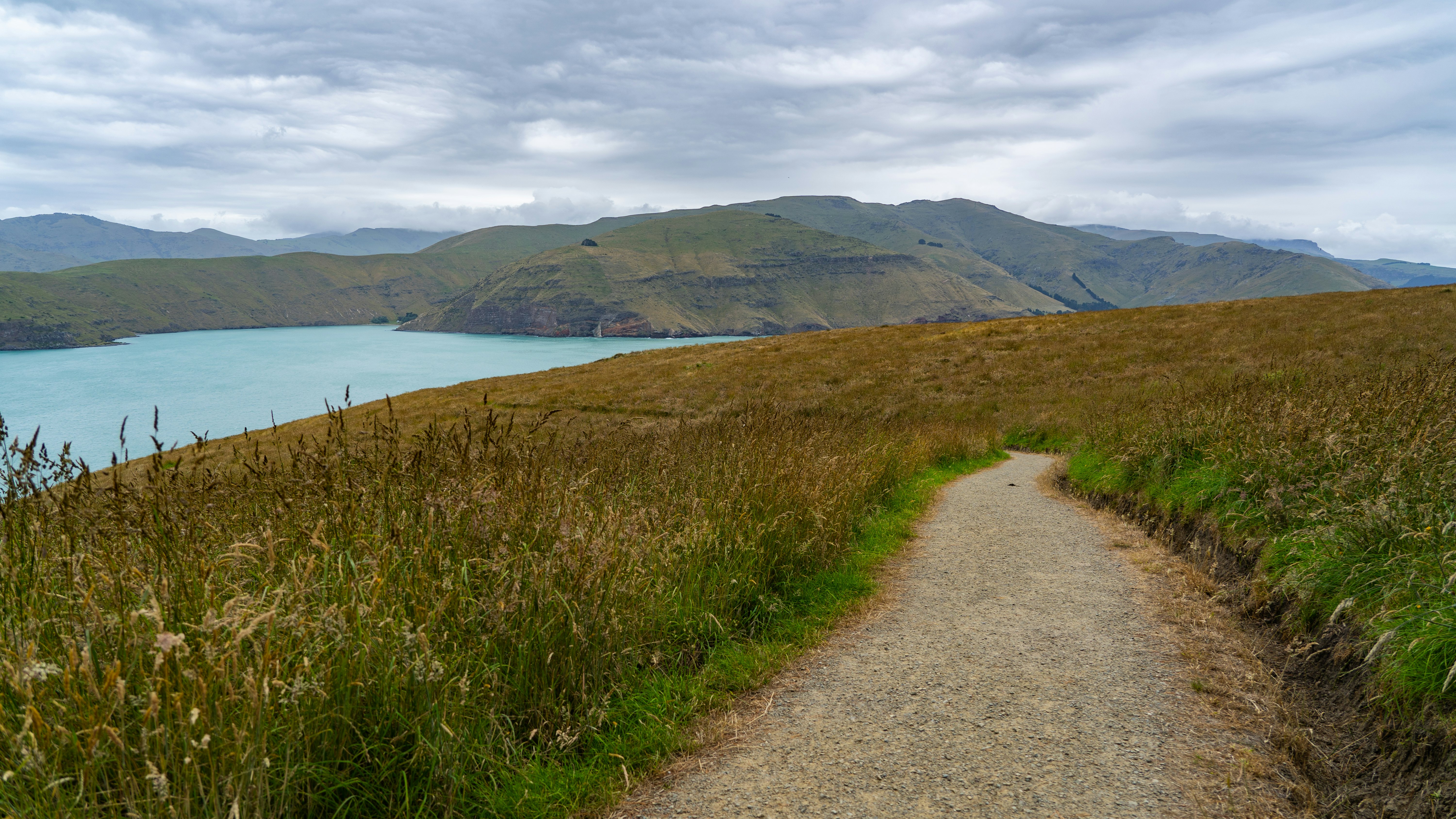 Taylors mistake walkway with views of the sea beyond on an overcast day - near Christchurch, Canterbury, New Zealand