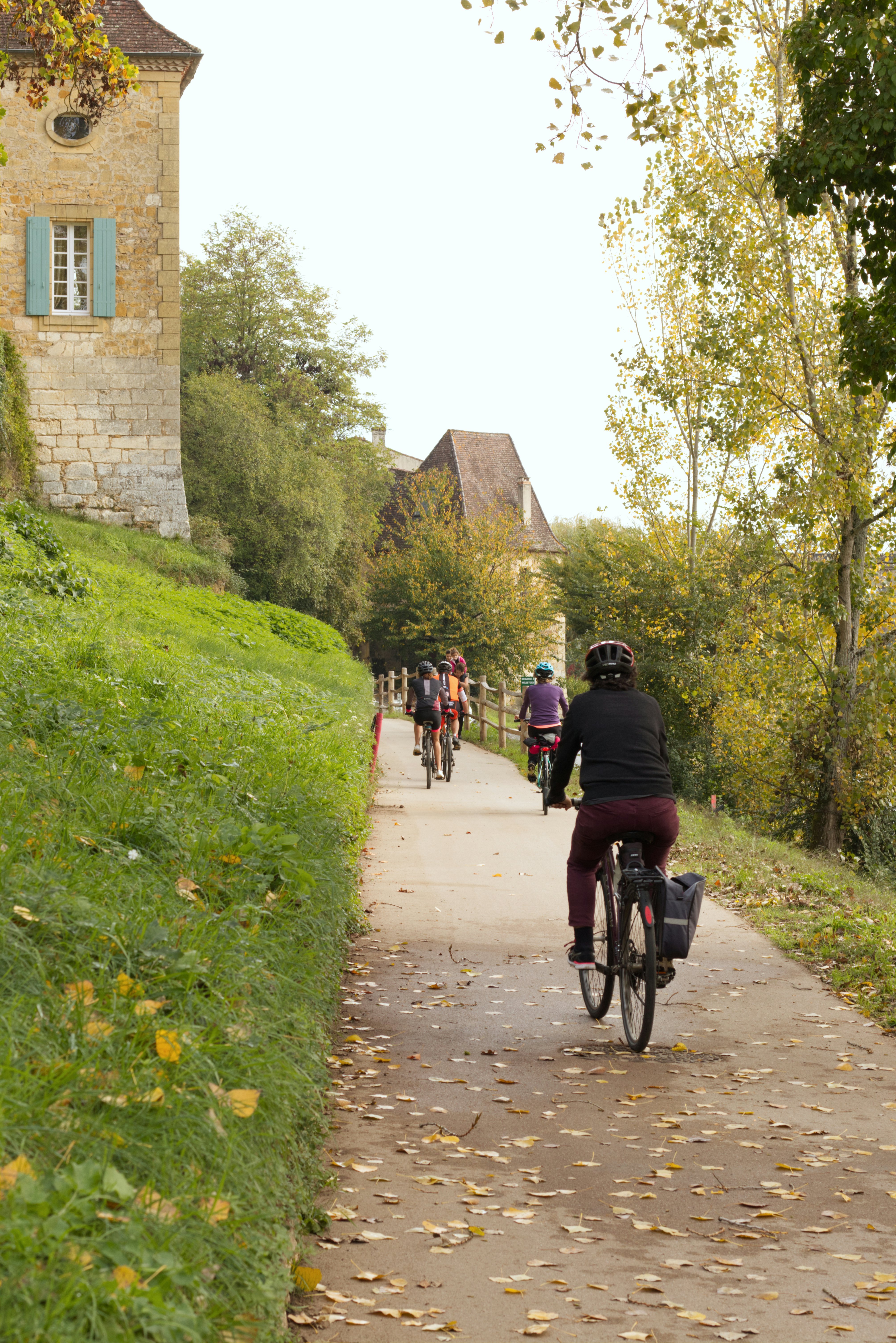 People cycling on a paved trail
