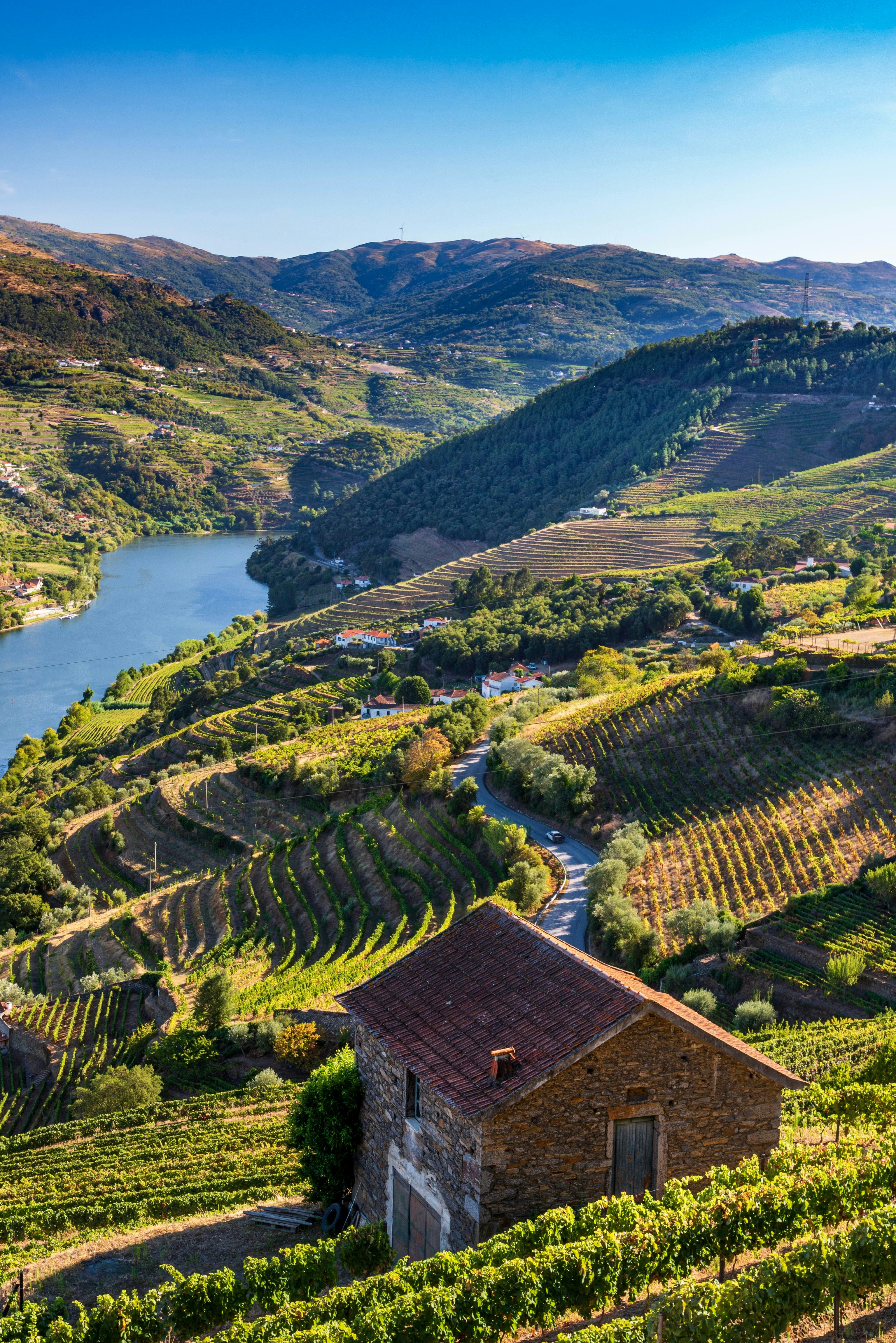 A stone cottage among rows of vines overlooking a river valley in the autumn sunshine.