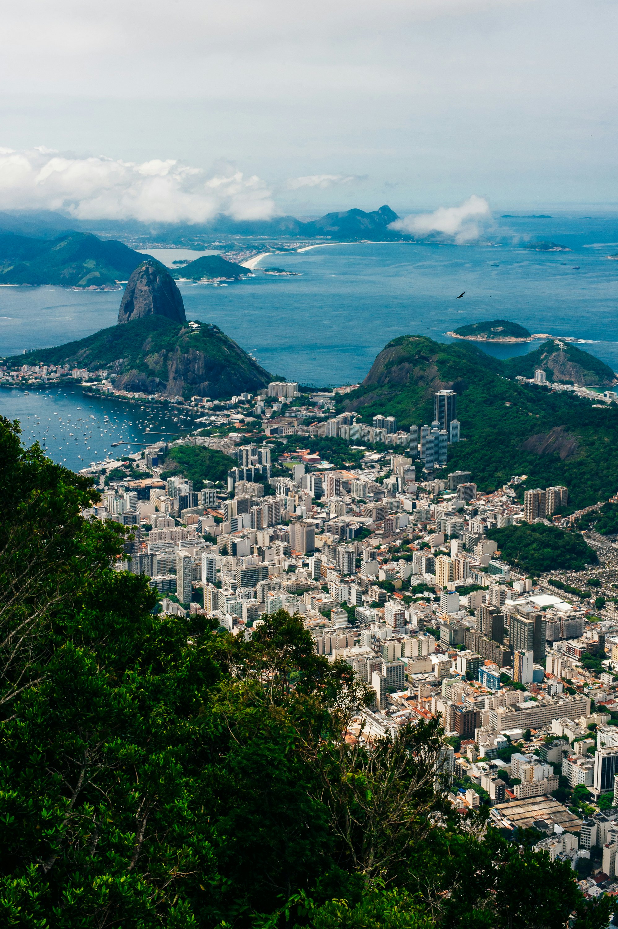 A dense neighborhood of tall buildings wedged between hillsides and the shore seen from above.