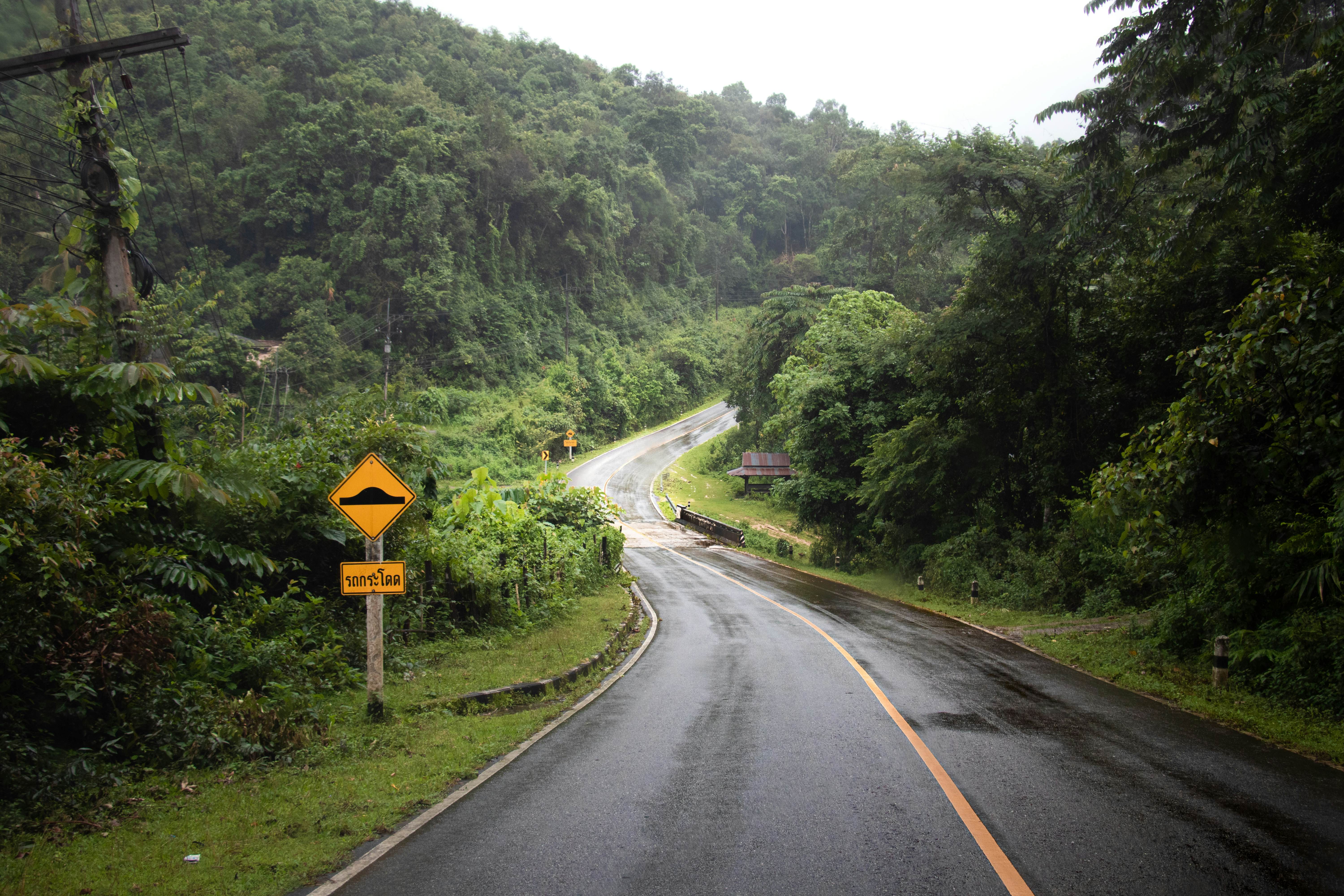 Curvy road through the jungle of northern Thailand - Caution bumps sign, License Type: media, Download Time: 2025-10-31T19:13:59.000Z, User: bhealy950, Editorial: false, purchase_order: 65050 - Digital Destinations and Articles, job: Lonely Planet Online Editorial, client: Best road trips in Thailand, other: Brian Healy