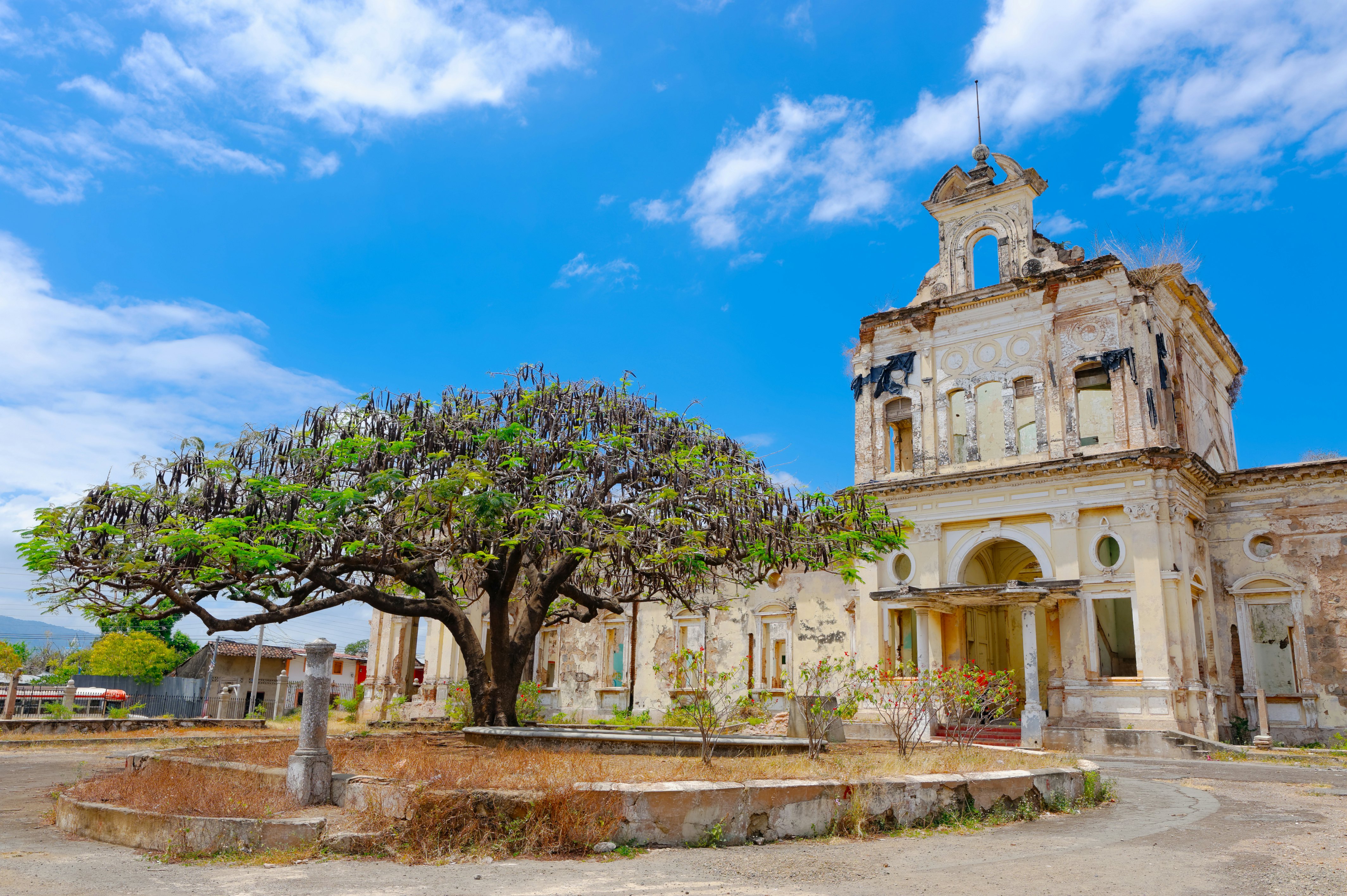A tree with a large canopy stands outside an old ruined hospital building.