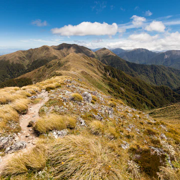 Ridge between Jumbo and Mount Holdsworth, Holdsworth Jumbo Circuit, Tararua Range, License Type: media, Download Time: 2025-05-28T10:03:10.000Z, User: lonelyplanetmedia, Editorial: false, purchase_order: 65050 - Digital Destinations and Articles, job: Global Publishing WIP, client: Global Publishing WIP, other: Peterson Haggarty // SS Comp Ingestion