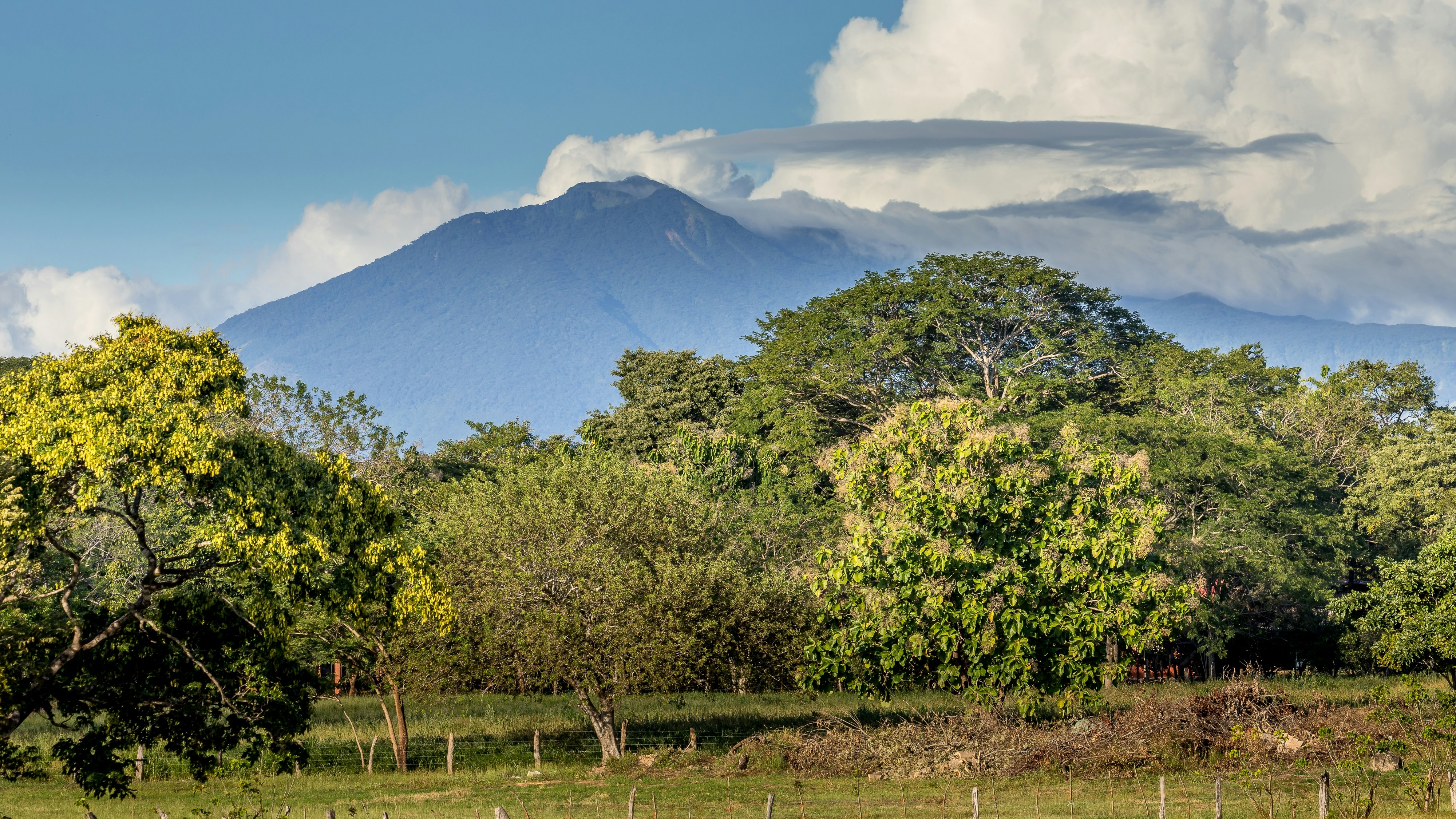 a volcano with clouds at the top and trees in the foreground