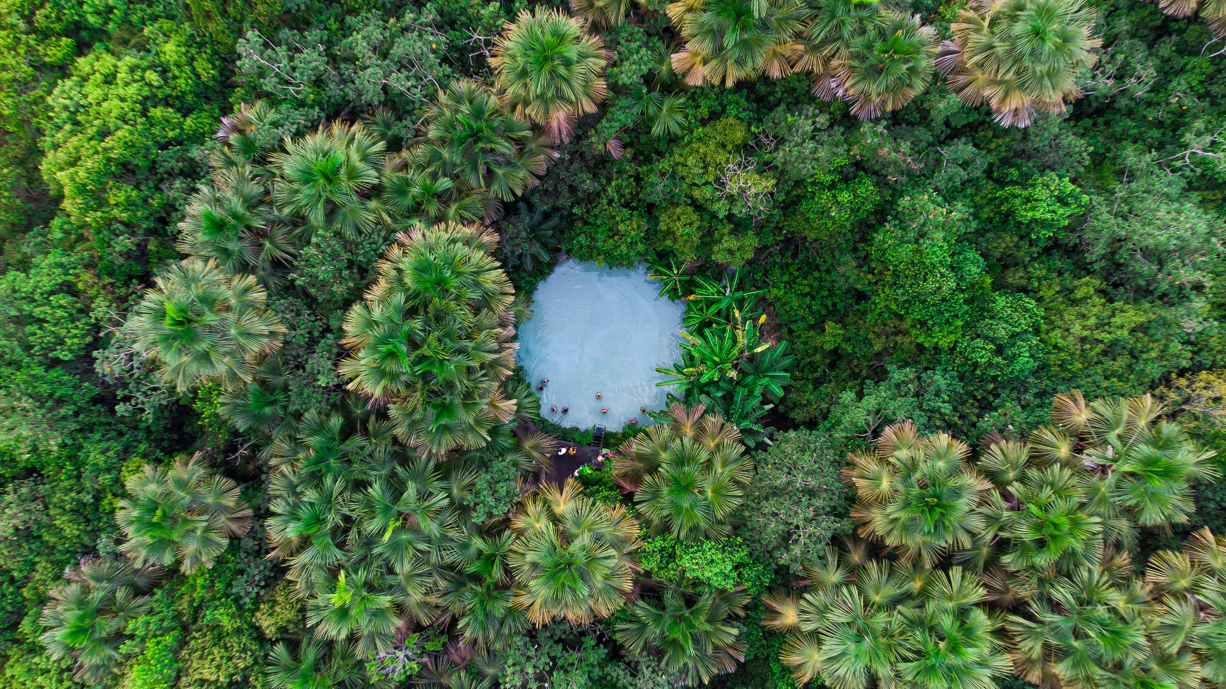 An aerial view of a round blue natural pool, with some people around the perimeter, amid a dense, green tropical forest in Brazil.