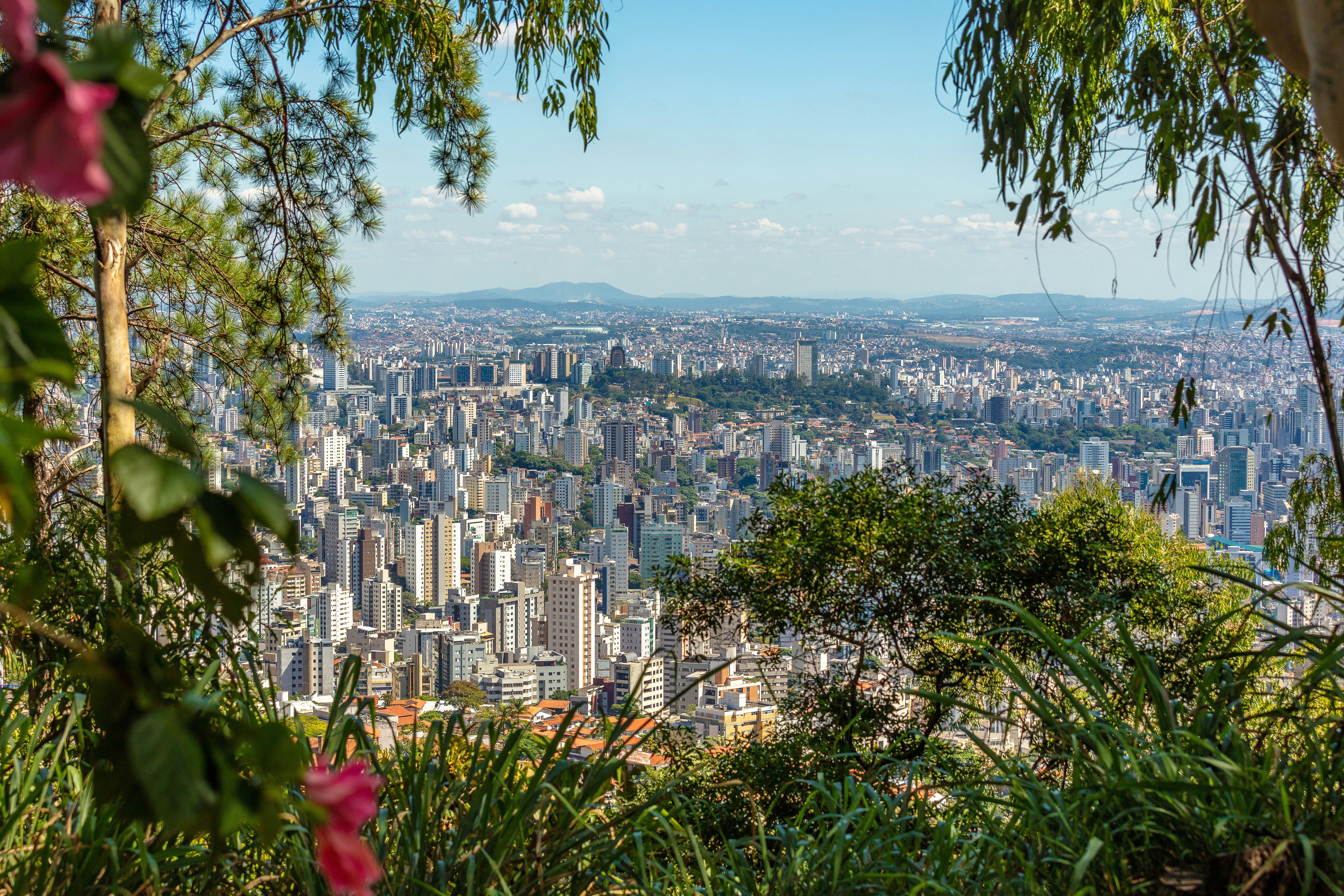 A sprawling city is visible through greenery on a mountaintop