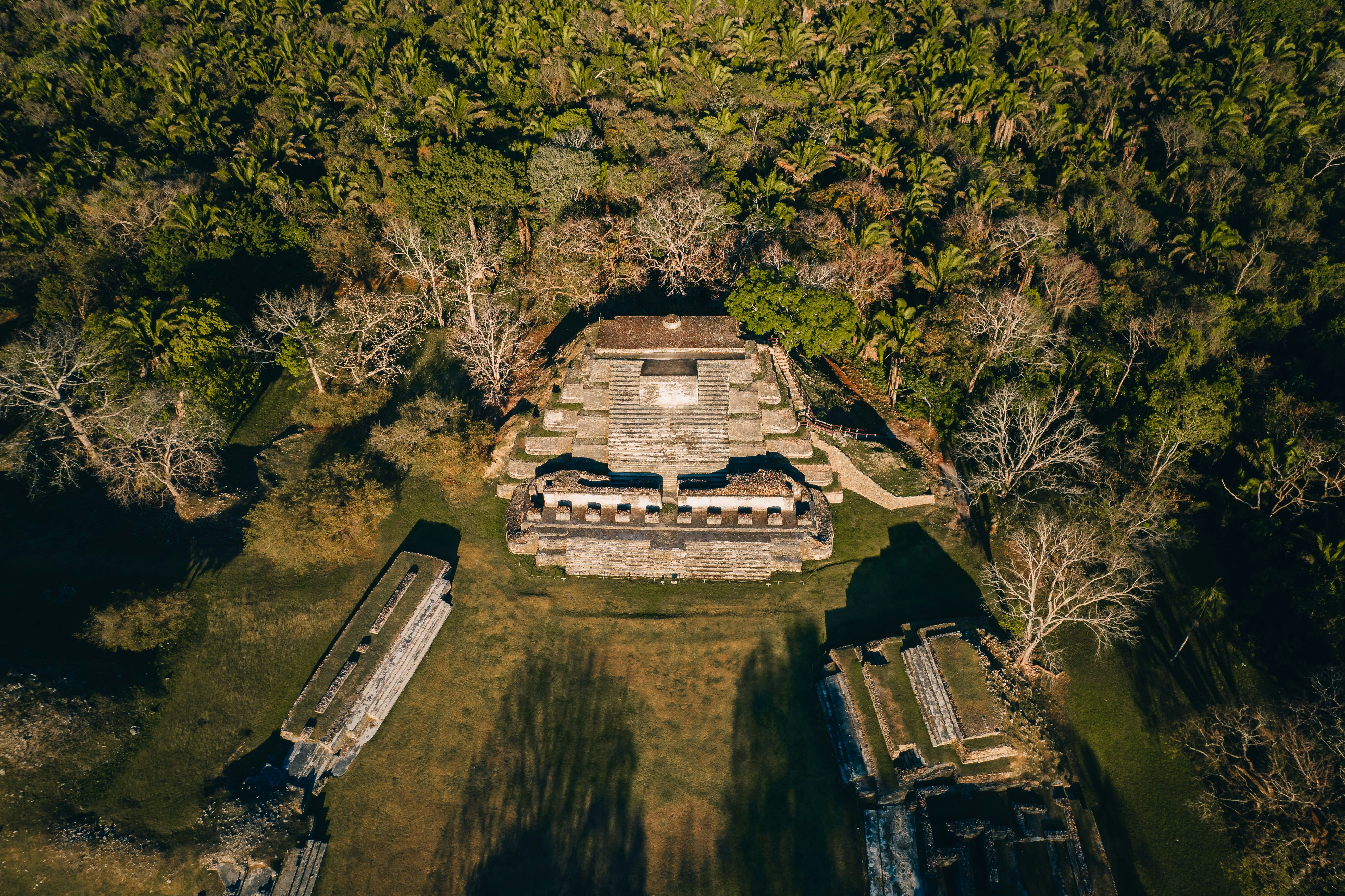 Aerial view of ancient ruins surrounded by forest on a sunny day with long shadows of trees on the grass.