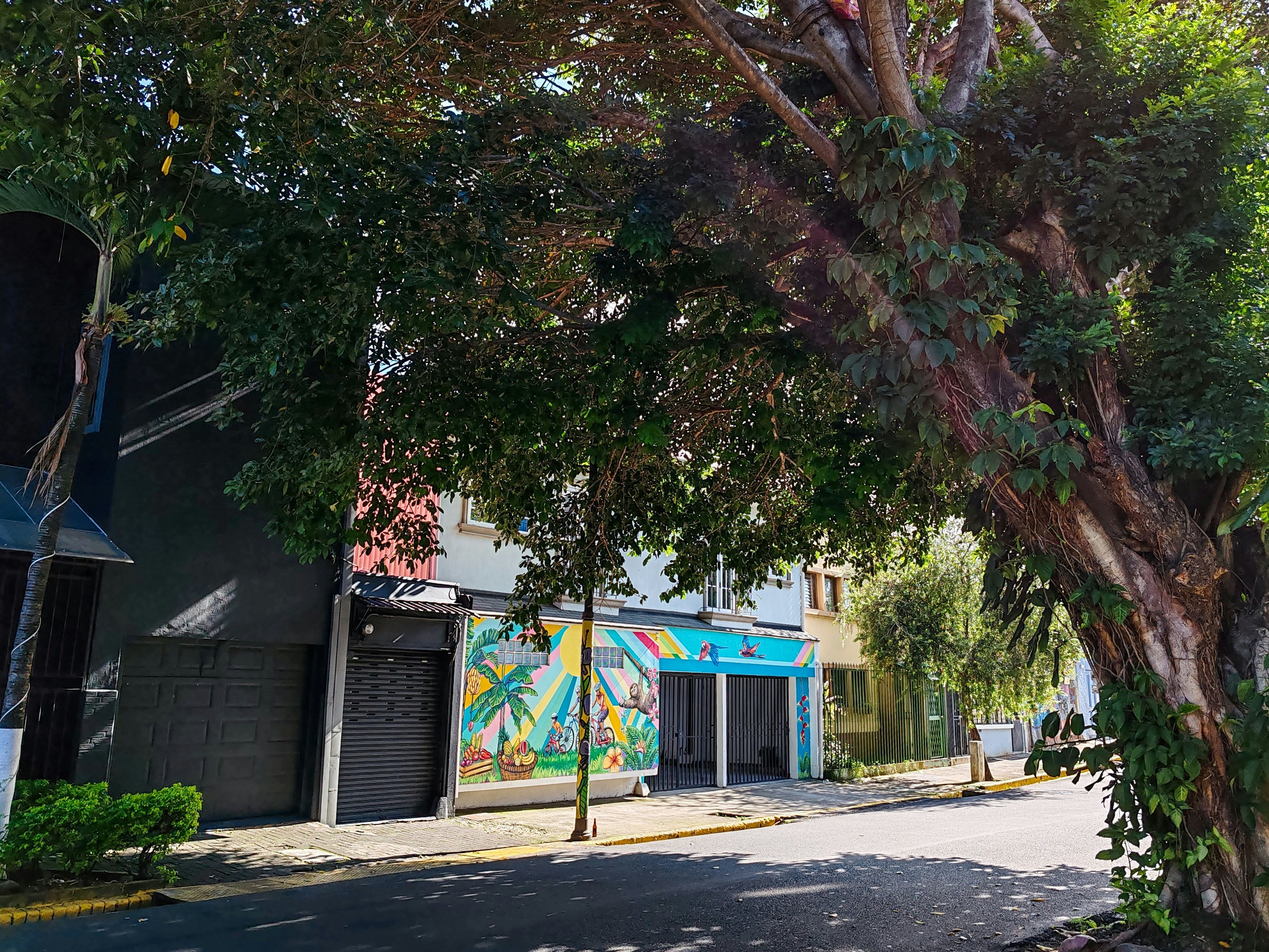 Connected buildings on a street shaded by a large tree. The building in the middle has a colorful mural painted on it.