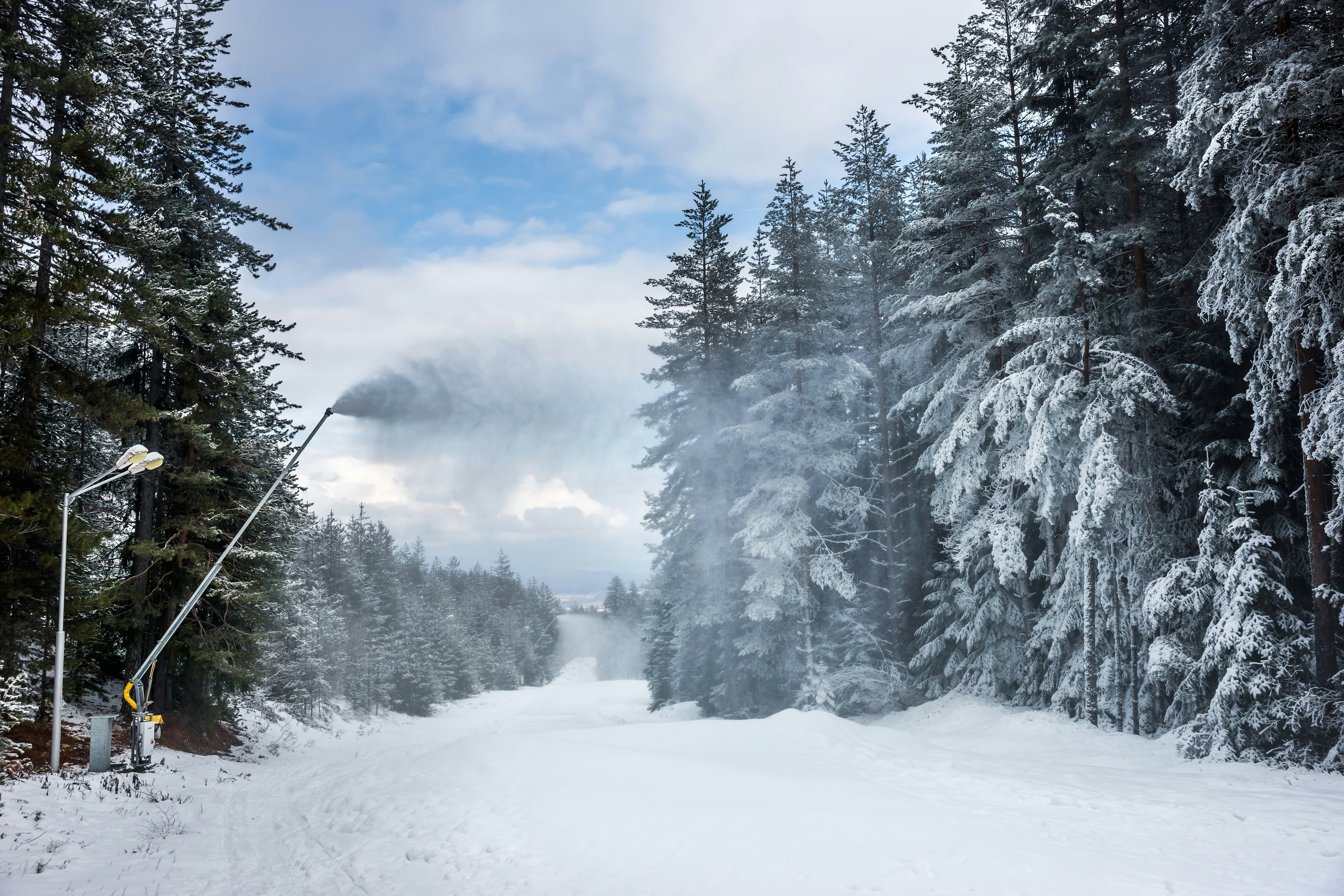 The long arm of a snow machine blows artificial snow on a lane between evergreen trees in Bulgaria.