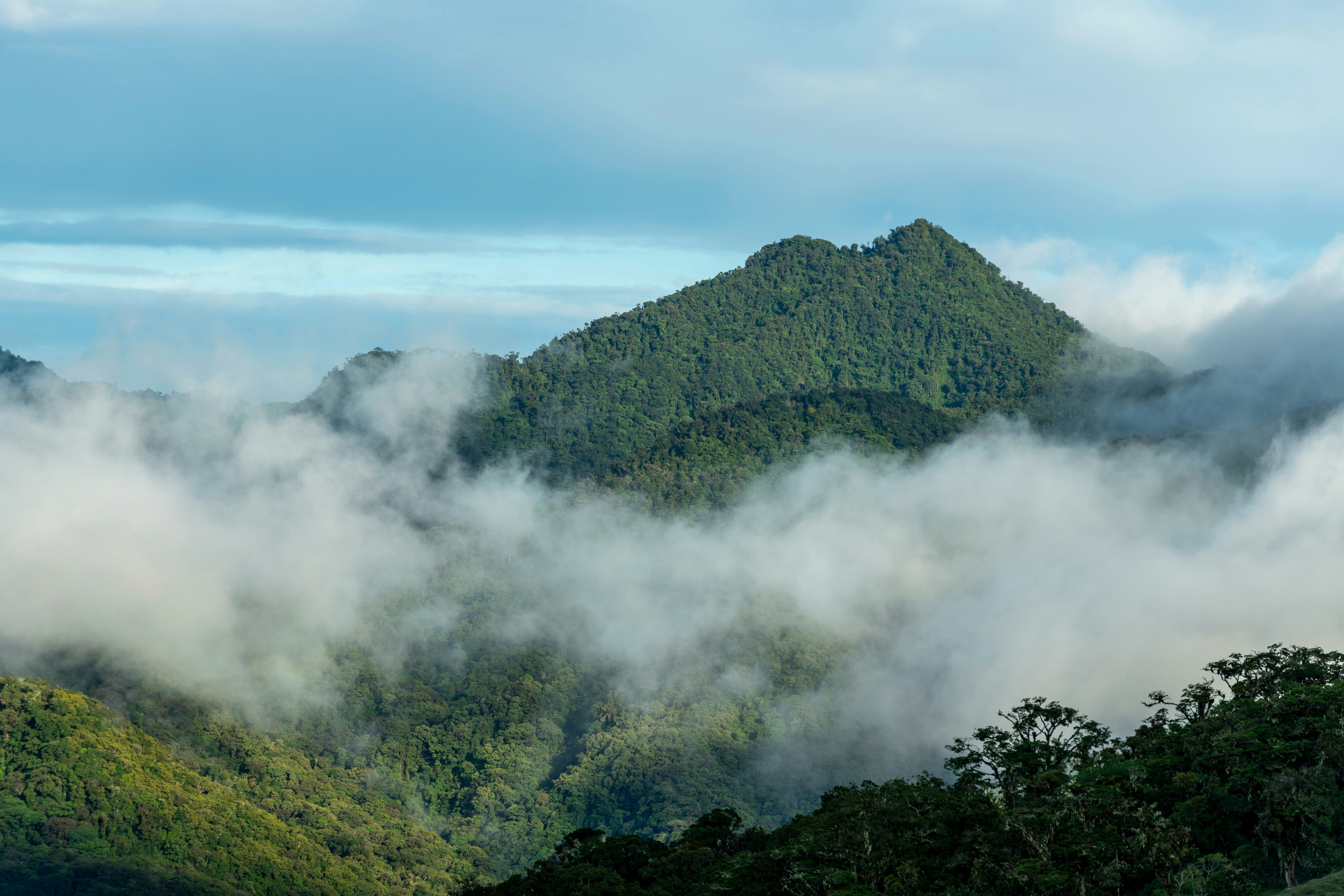 A volcano covered in trees with clouds around it