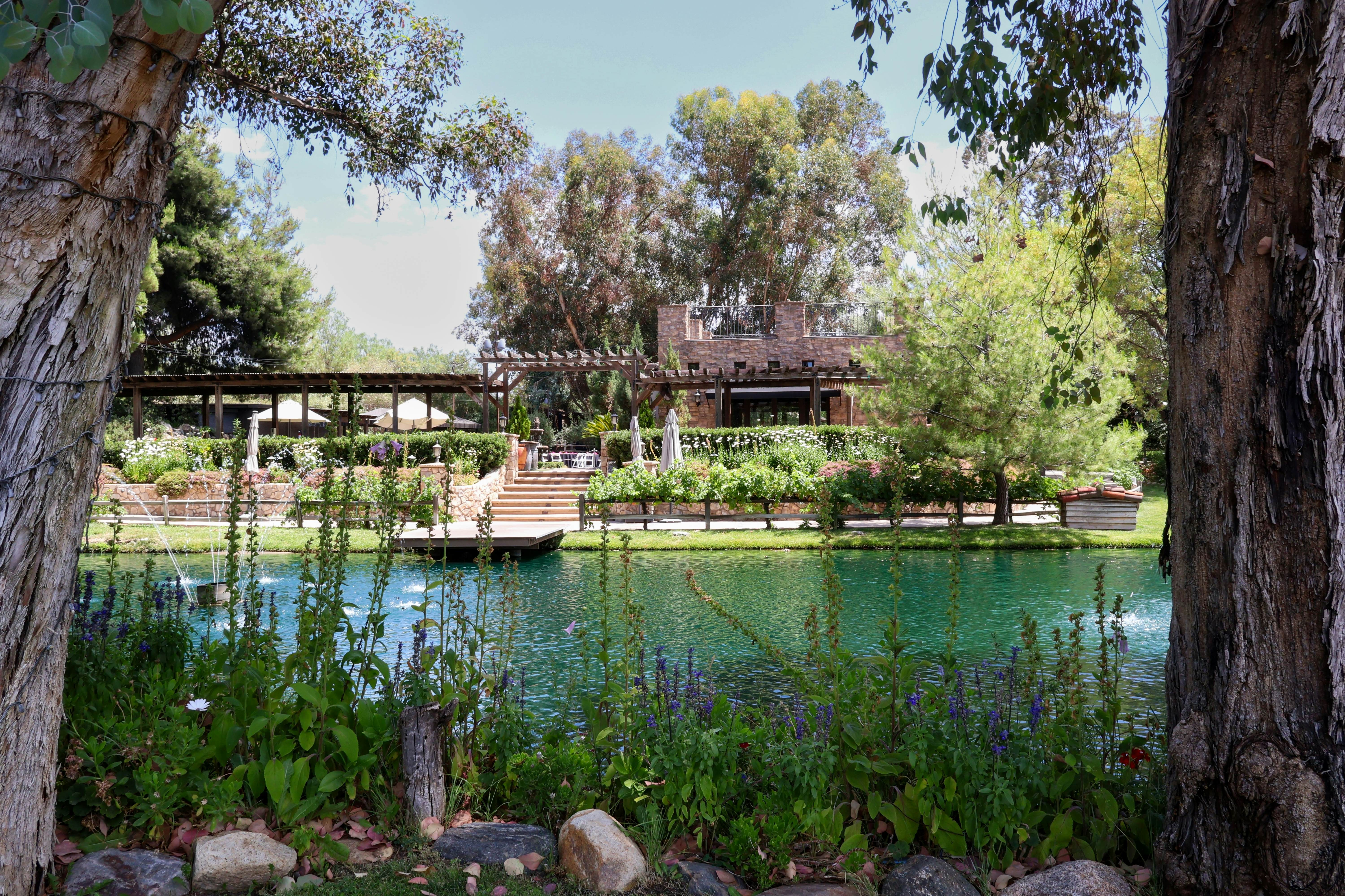 Temecula, California, USA - July 13, 2024 - the lovely entrance pond of Vitagliano Winery and wedding venue during the daytime, License Type: media, Download Time: 2025-10-09T16:29:33.000Z, User: Malecia.Elamin_Lonelyplanet, Editorial: true, purchase_order: 65050 - Digital Destinations and Articles, job: Online editorial, client: Guide to California's wine country, other: Malecia Walker