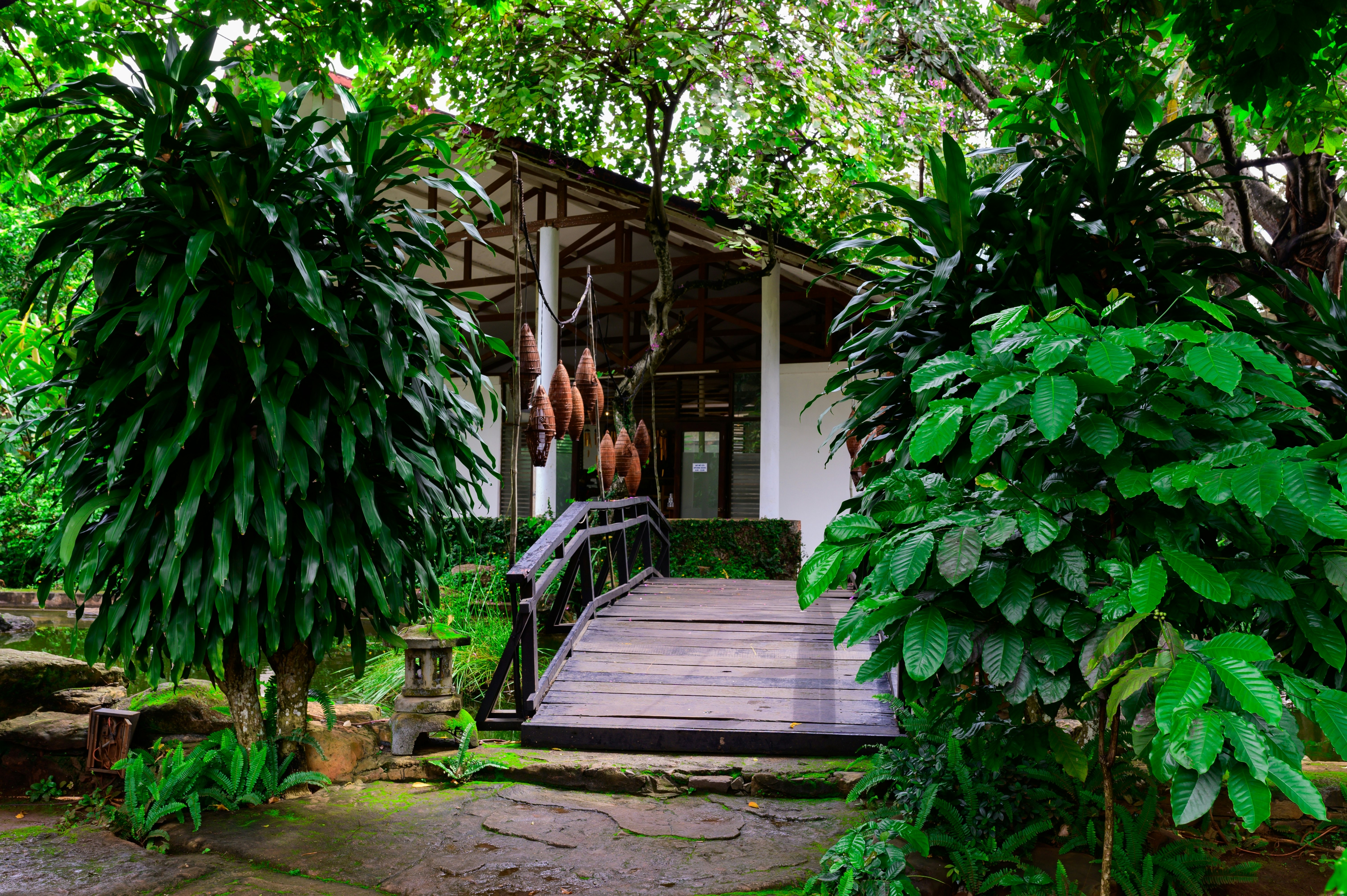 A building in a leafy jungle.