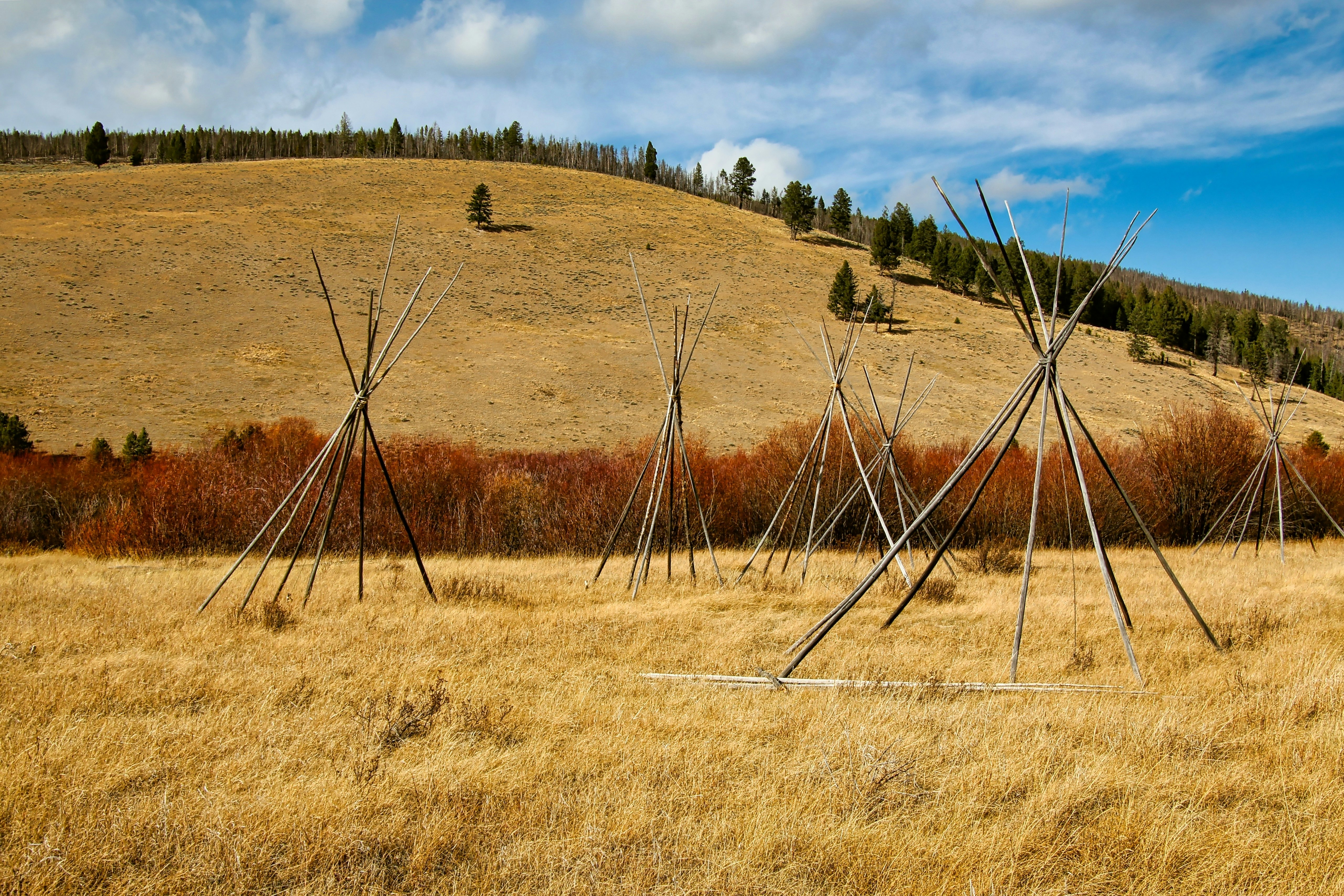 Tipi Frames at the Nez Perce Camp Site, Big Hole National Battlefield near Wisdom Montana.