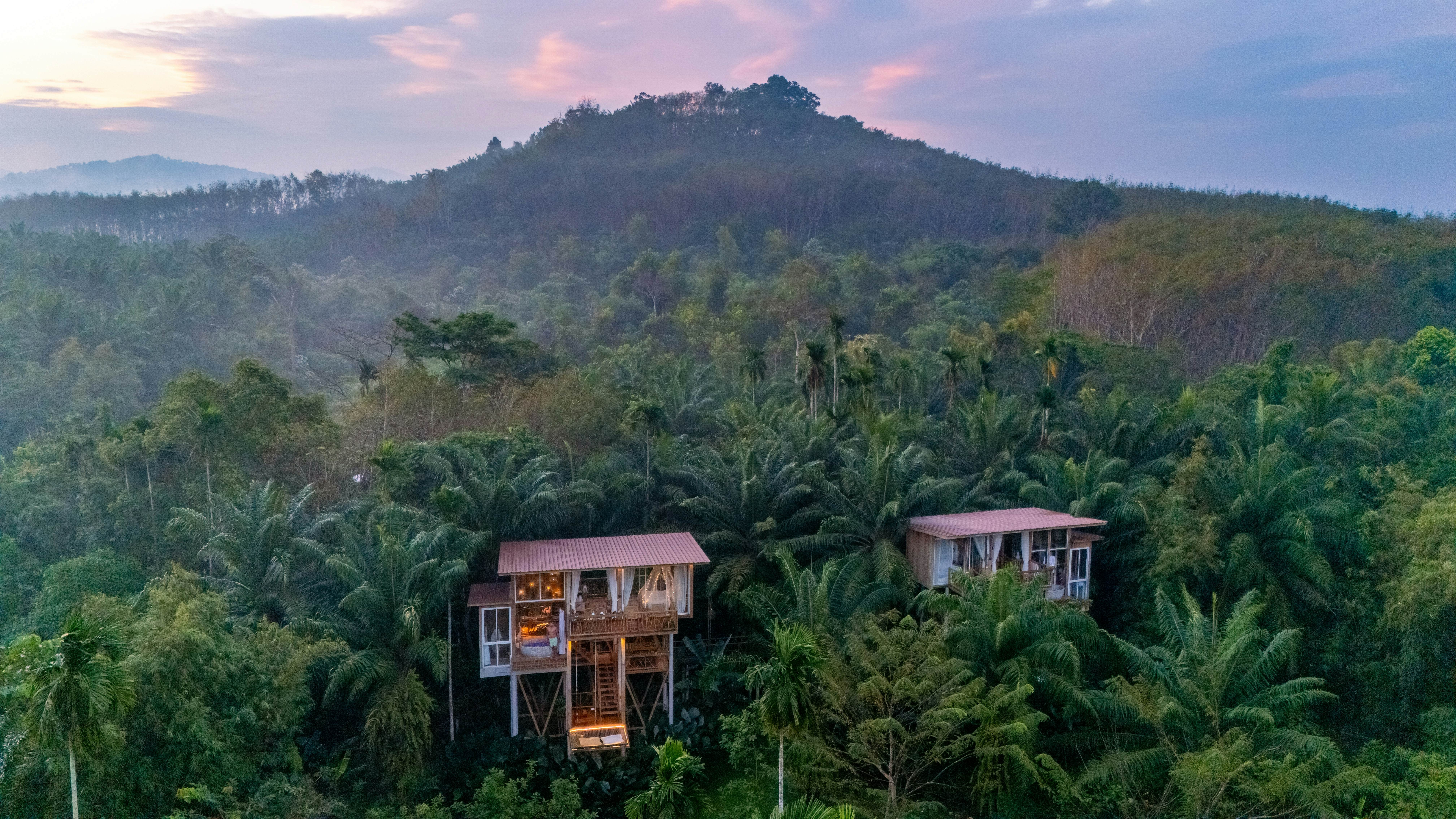 Two charming treehouses rise among the vibrant green foliage, offering a tranquil escape in the heart of Thailand or Balis stunning landscapes, ideal for nature lovers seeking adventure., License Type: media, Download Time: 2025-10-23T12:55:24.000Z, User: katelyn.perry_lonelyplanet, Editorial: false, purchase_order: 65050 - Digital Destinations and Articles, job: wip, client: wip, other: Katelyn Perry