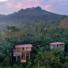 Two charming treehouses rise among the vibrant green foliage, offering a tranquil escape in the heart of Thailand or Balis stunning landscapes, ideal for nature lovers seeking adventure., License Type: media, Download Time: 2025-10-23T12:55:24.000Z, User: katelyn.perry_lonelyplanet, Editorial: false, purchase_order: 65050 - Digital Destinations and Articles, job: wip, client: wip, other: Katelyn Perry