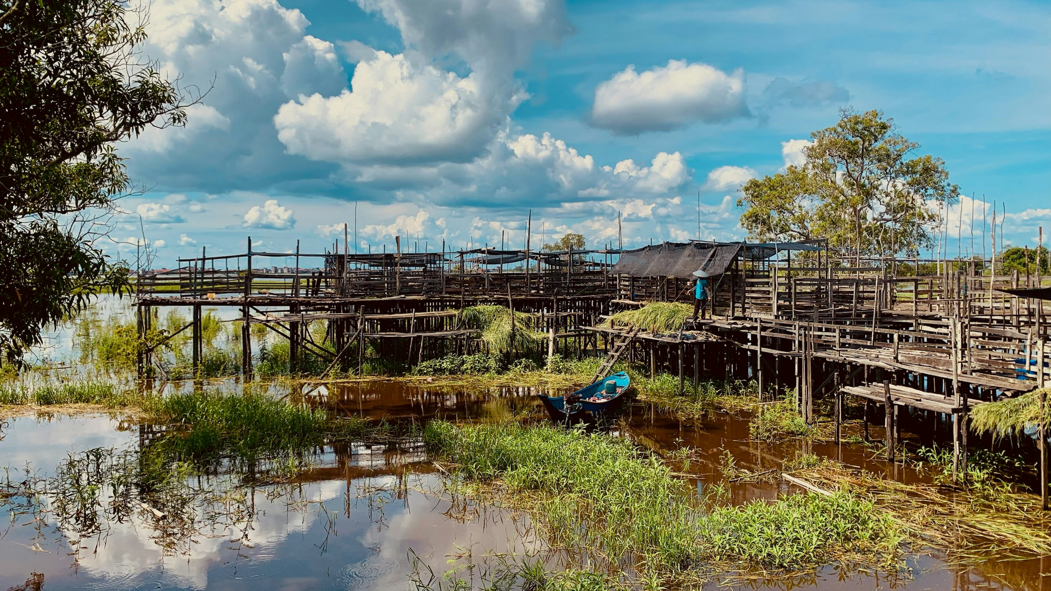 A settlement with wooden boards rests on stilts in a river. Vegetation grows in the shallow water.