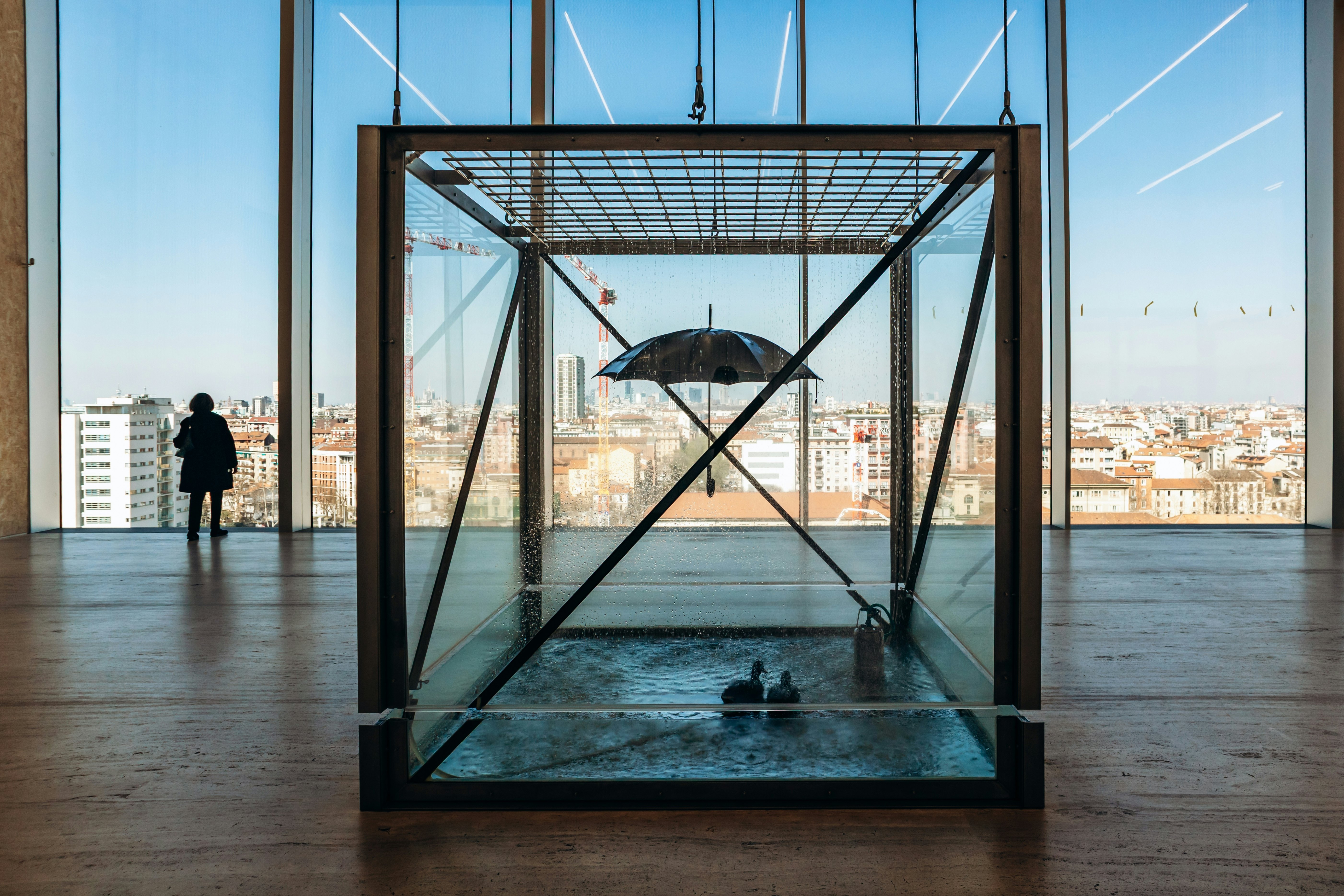 An artistic installation within a gallery comprising a large transparent box where it appears to be raining. An umbrella provides shelter for two ducks. Floor-to-ceiling windows look out over a city skyline.