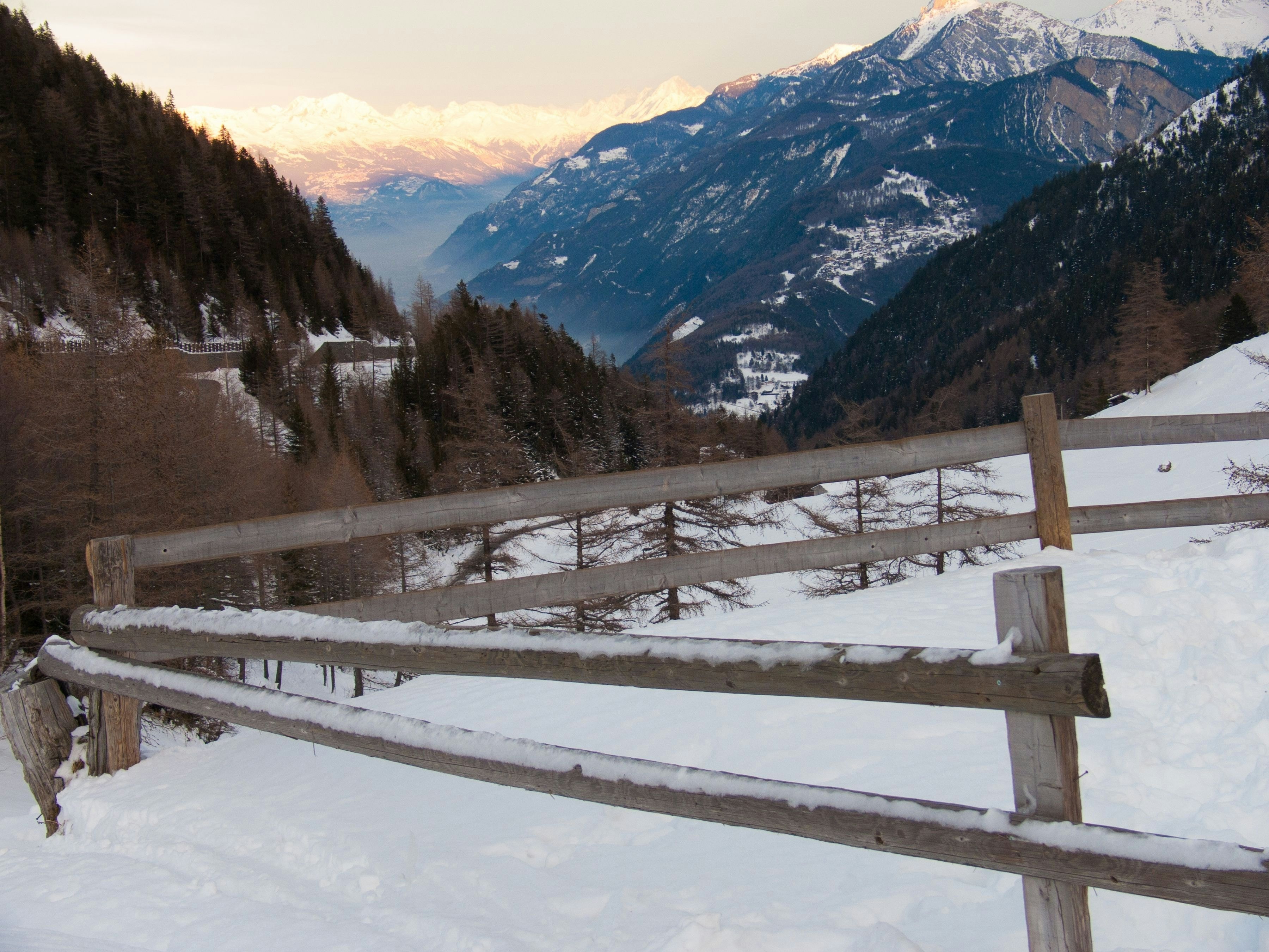 A wooden fence is dusted with snow, with pine forests and snowy peaks visible in the distance.