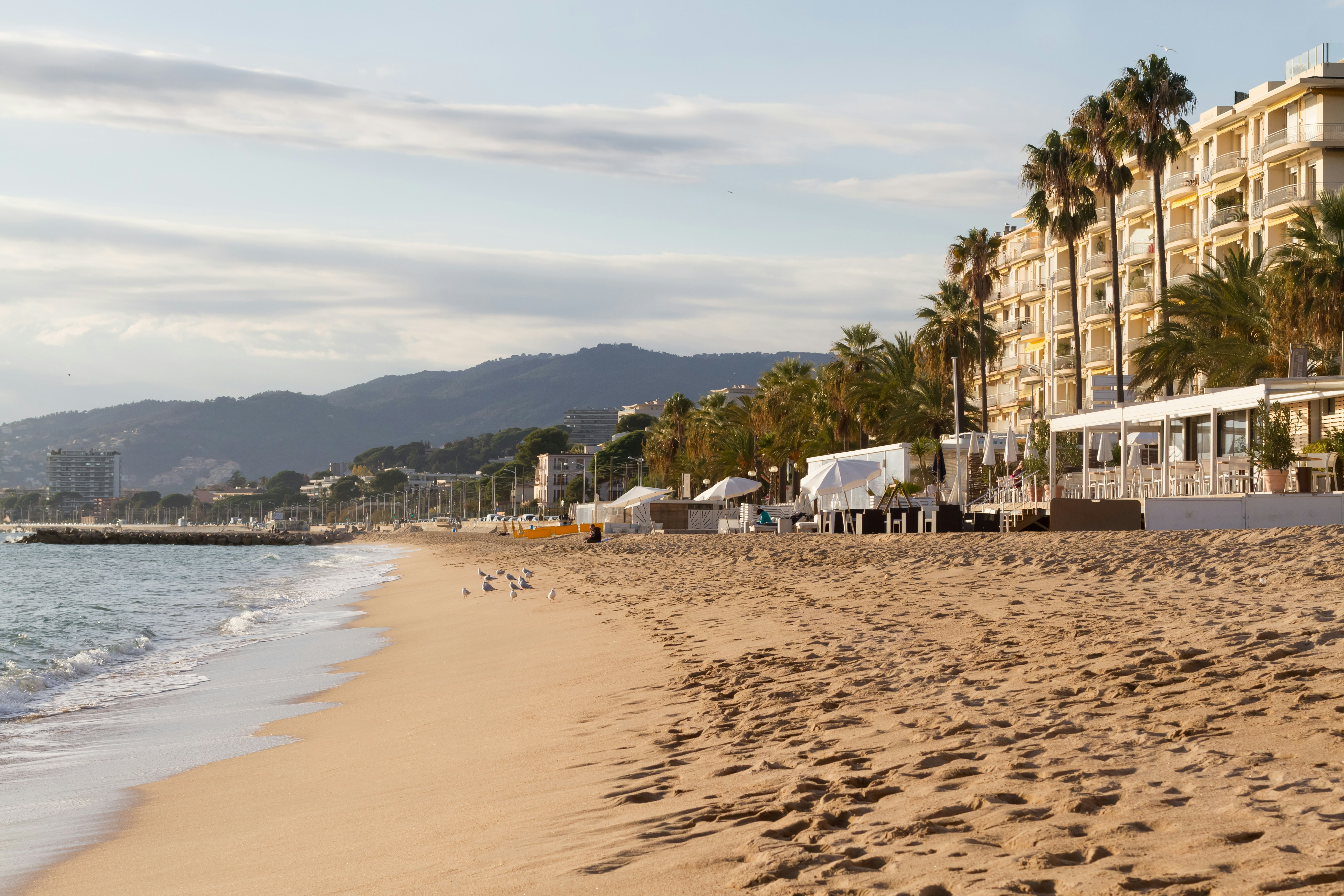 A sandy beach in mild winter season with palm trees and buildings to the right and the ocean to the left.