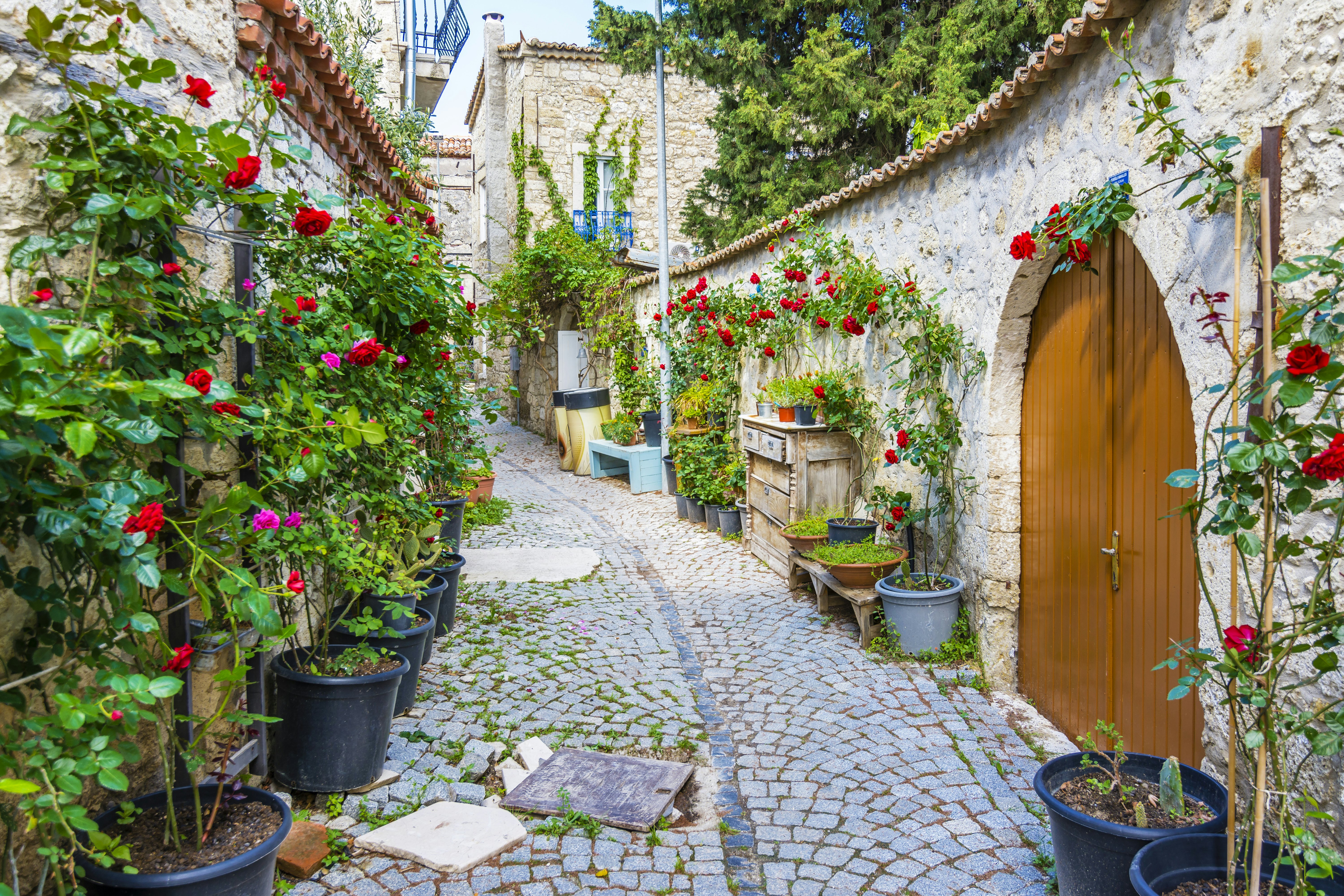 Narrow cobblestone street with flowers decorating the walls