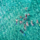 Aerial photo of people snorkeling in tropical waters in Belize, License Type: media, Download Time: 2025-07-15T09:15:29.000Z, User: aniabartoszek, Editorial: false, purchase_order: 56530 - Guidebooks, job: Global Publishing-WIP, client: Belize 10, other: Ania Lenihan