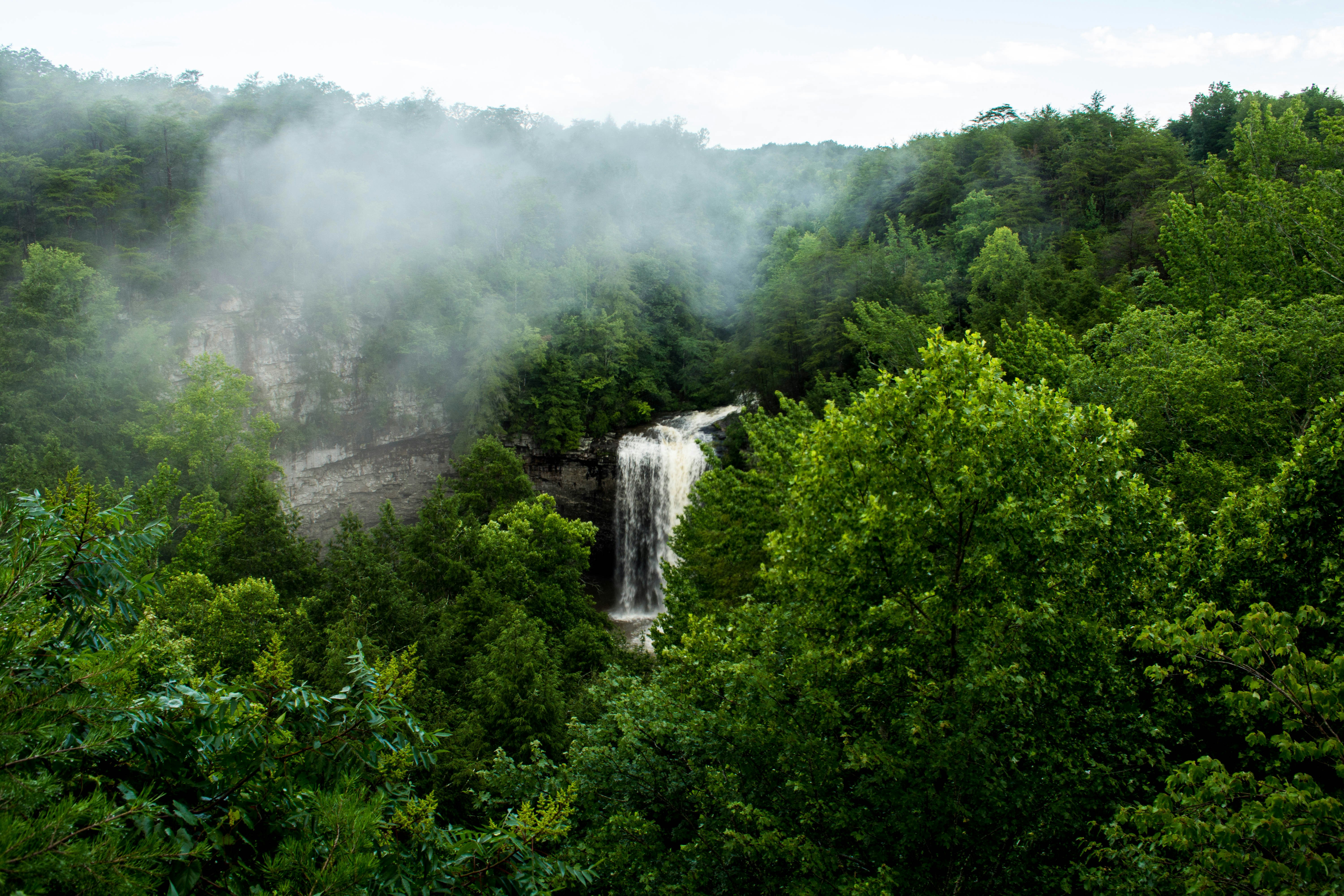 Foster Falls amidst the greenery of the park near Chattanooga