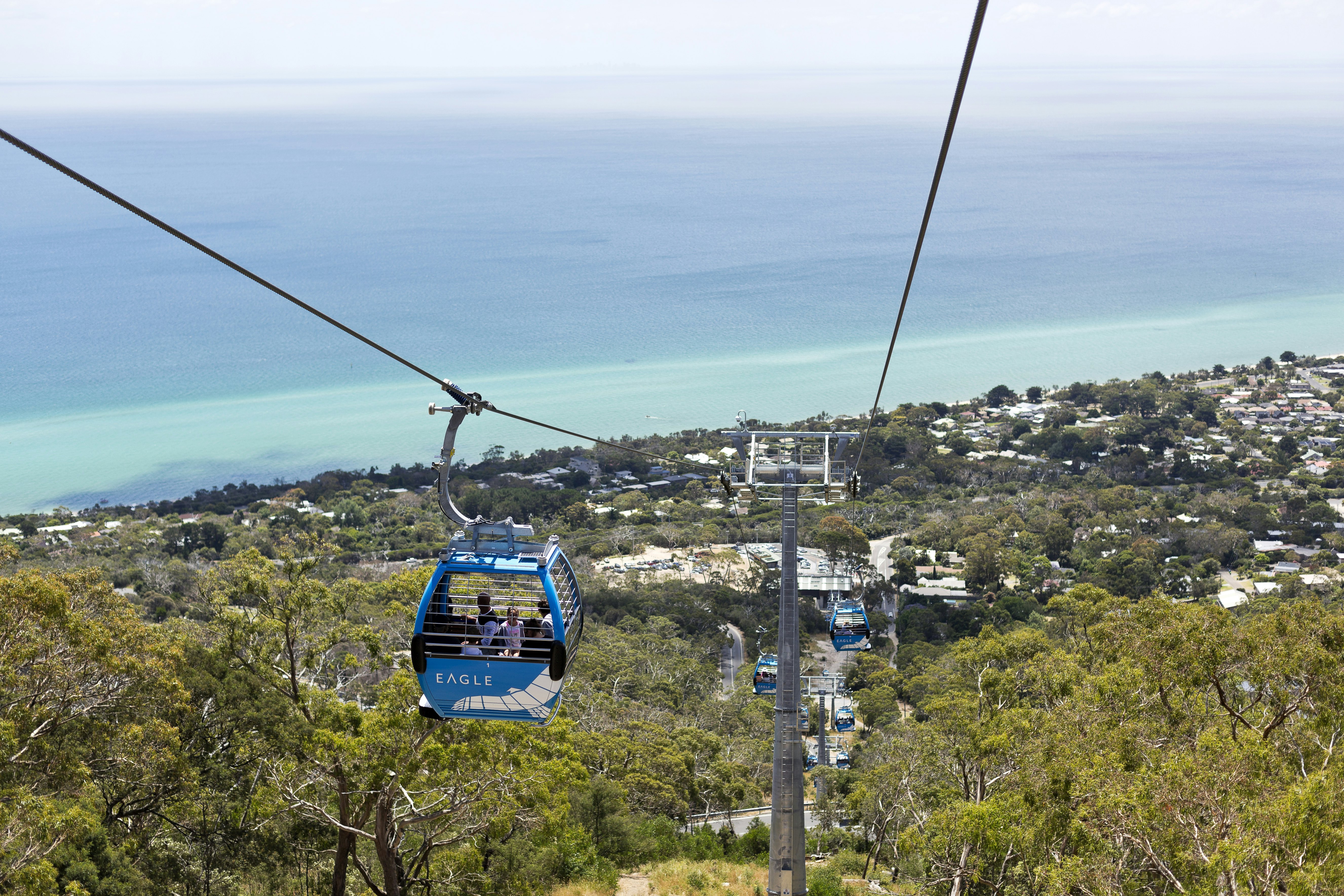 Gondolas of the Arthurs Seat Eagle Skylift, Australia