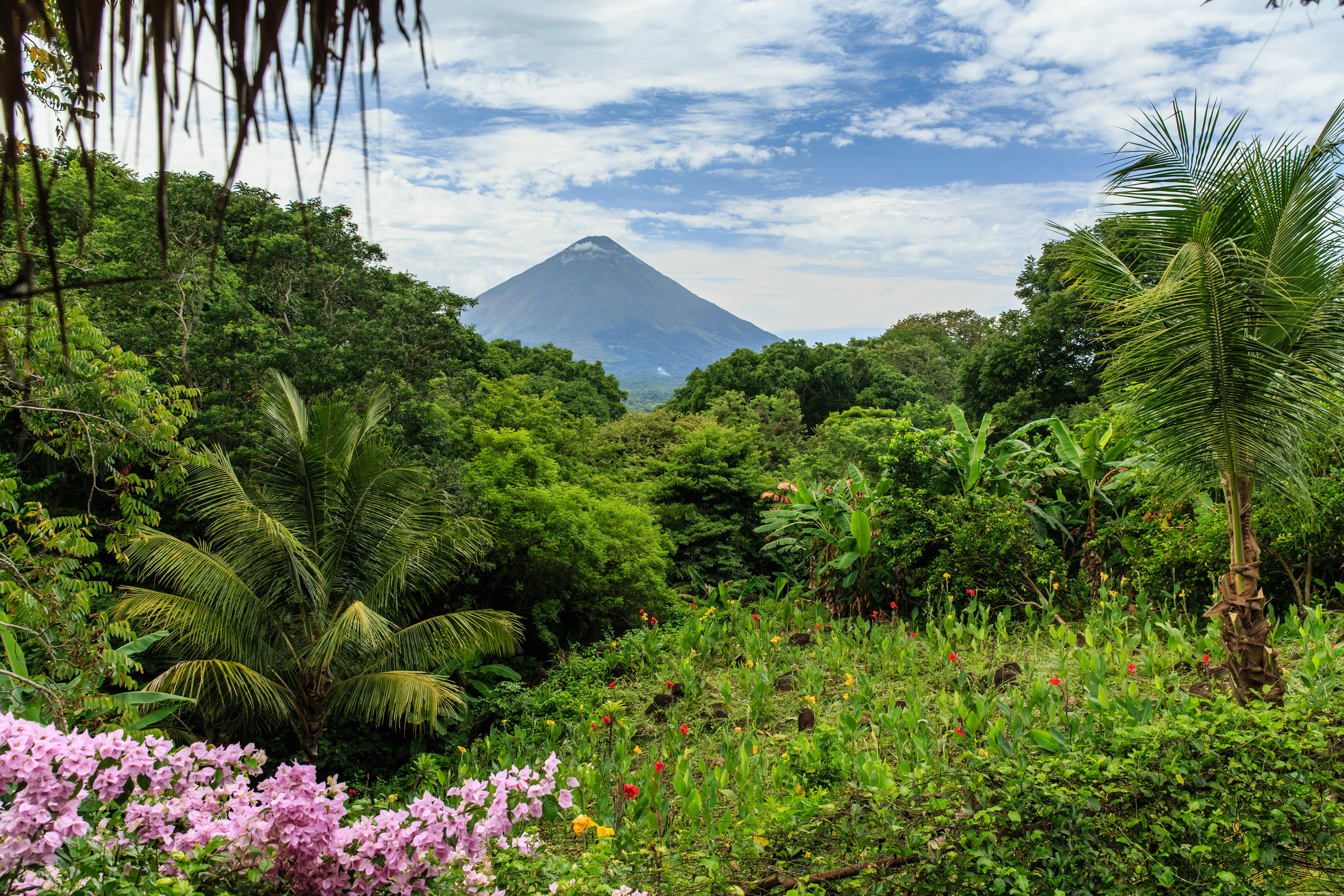 Palm trees and lush vegetation overlooked by a pointed volcano.
