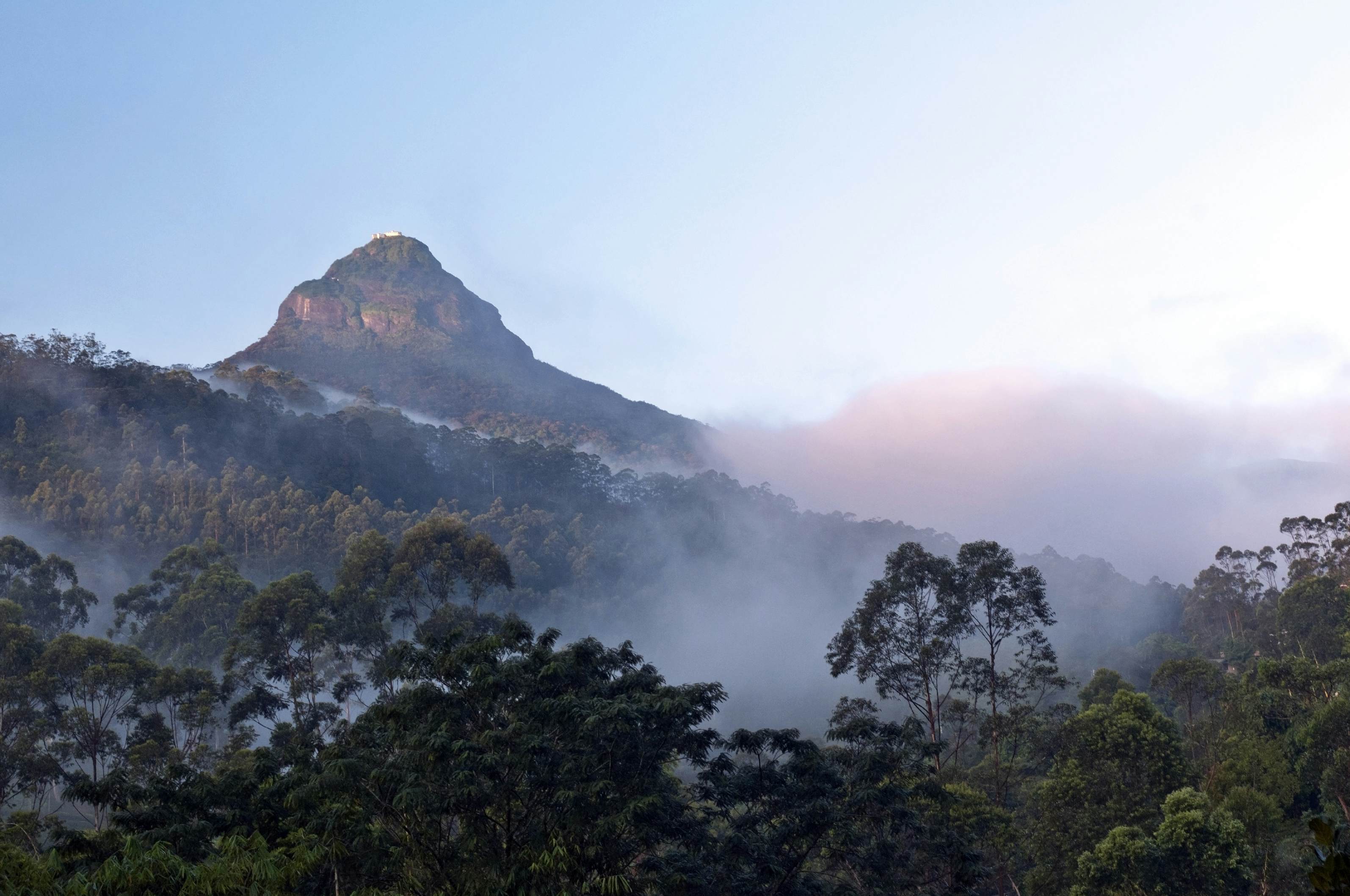 A mountain peak in Sri Lanka rises above clouds that are reflecting pink light.